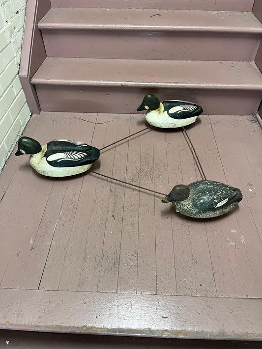 Stunning museum quality antique Canadian multiple duck decoy approximate 34 x 26  ducks 17 inches each  amazing condition