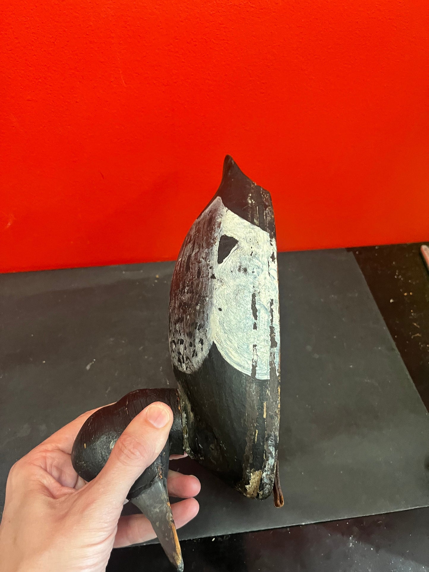 Lovely antique Canadian 16 x 6“ high tuck decoy with amazing patina  Good antique condition