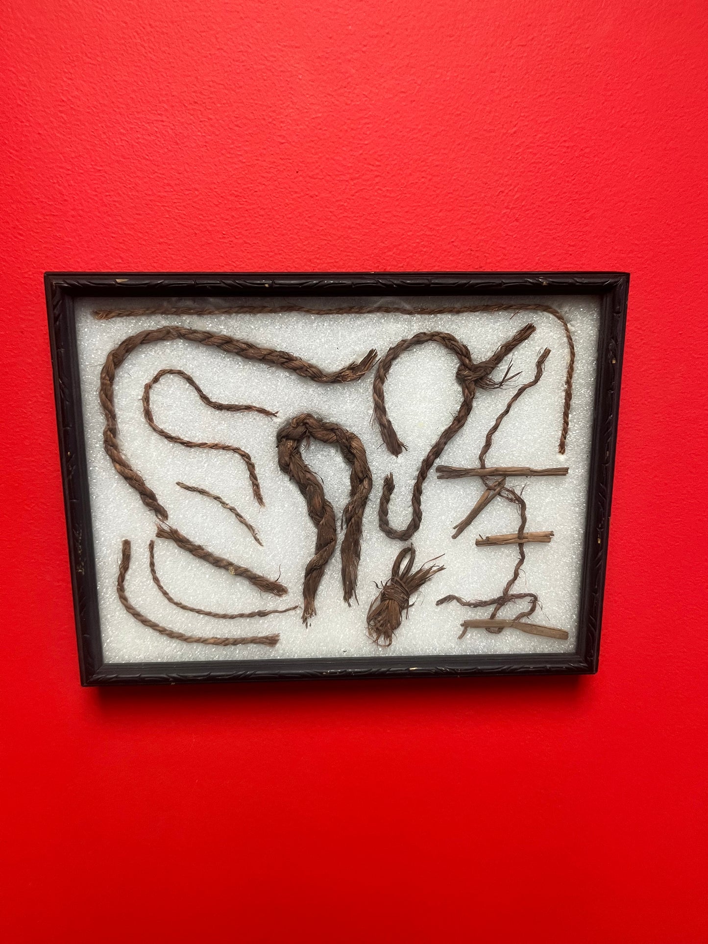 Amazing 13 x 10 x 2 thick  framed prehistoric Indian rope from Columbia River  1948  indigenous first nations treasure