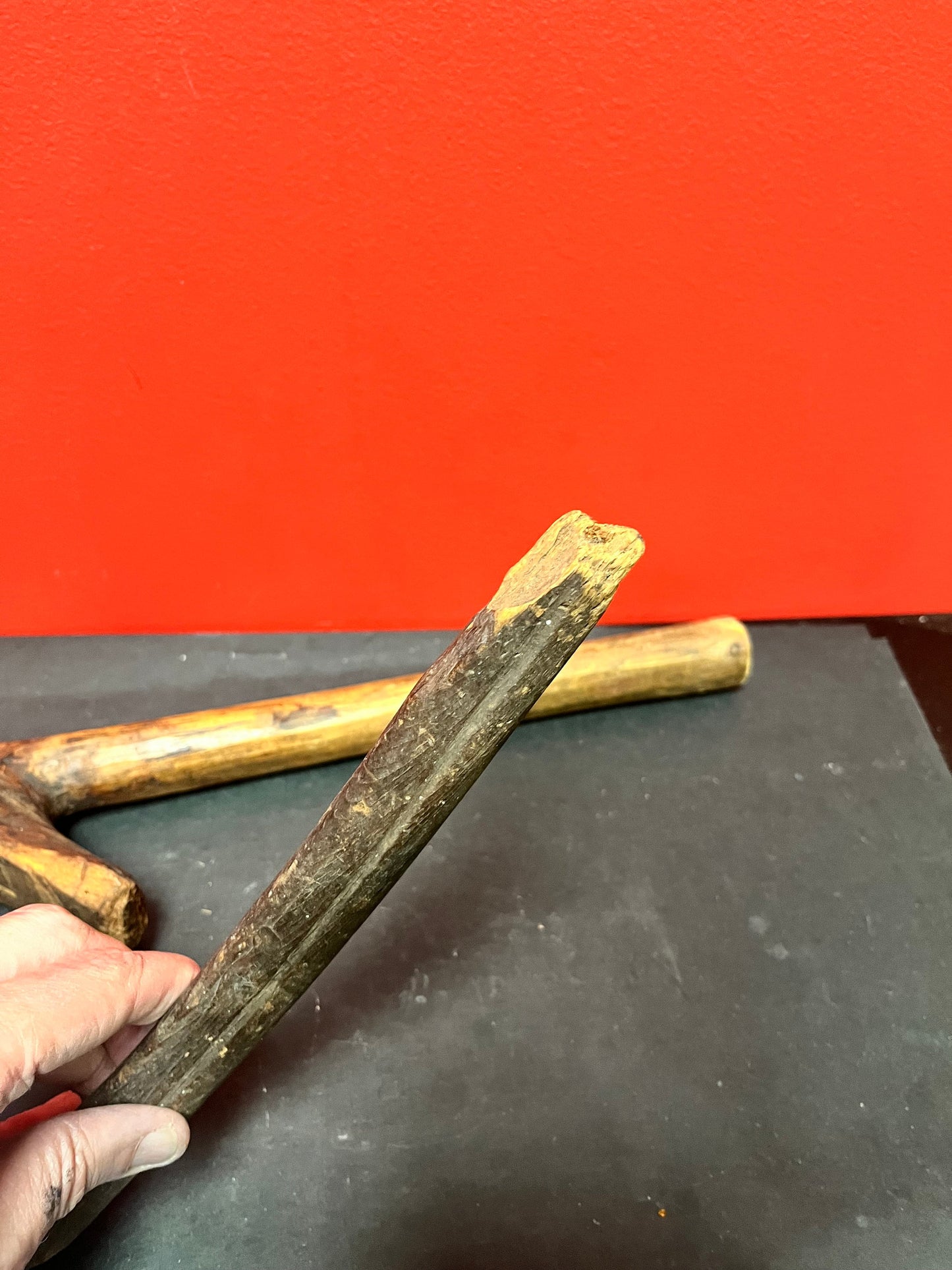 Antique 16 and 11 inch long indigenous first nations Pacific northwest Coast carving tools missing blades   both as is  great decoration