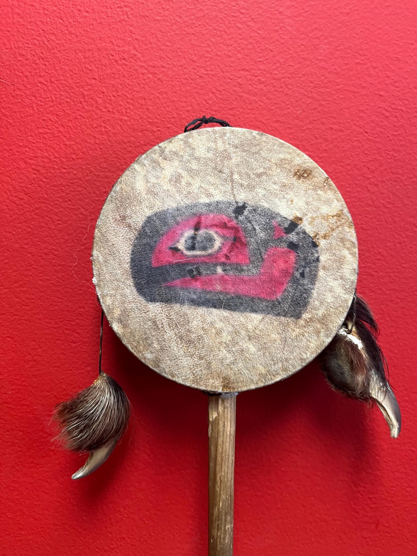 Lovely 14 x 5 wide indigenous first nation specific northwest coast antique drum with great sound  probably ceremonial piece