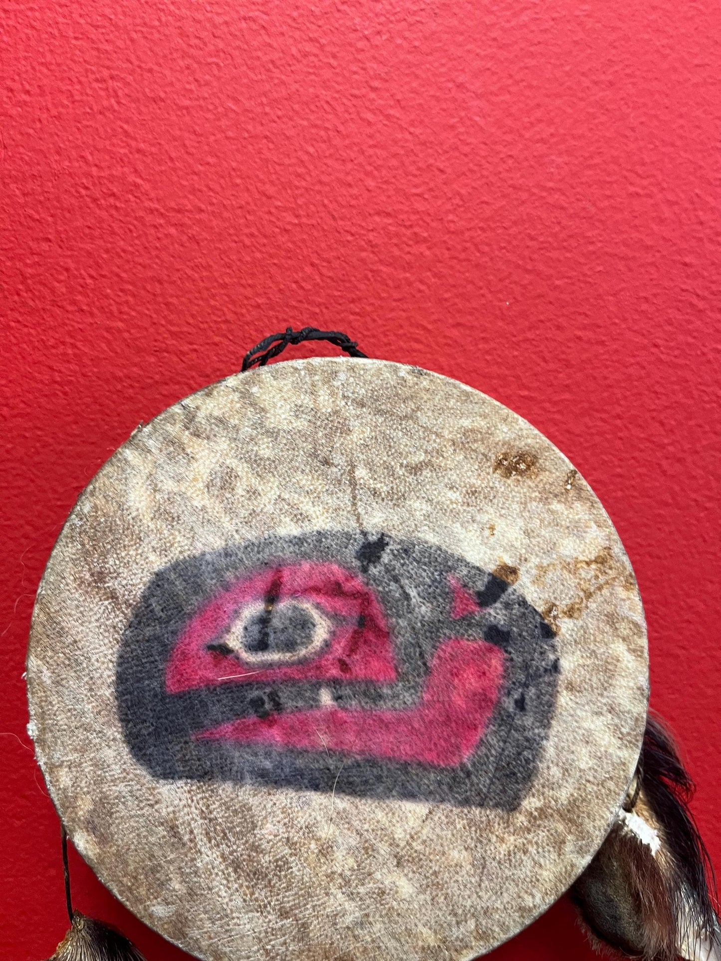 Lovely 14 x 5 wide indigenous first nation specific northwest coast antique drum with great sound  probably ceremonial piece