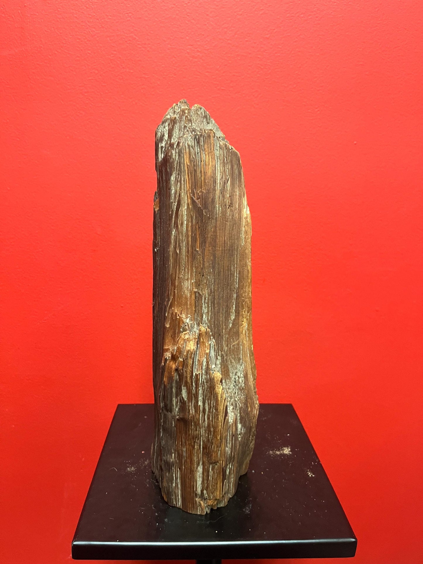 11 inch tall indigenous first nations Pacific Northwest Coast live Edge wood statue of a chief  attributed to WANIK GARRISON Great value