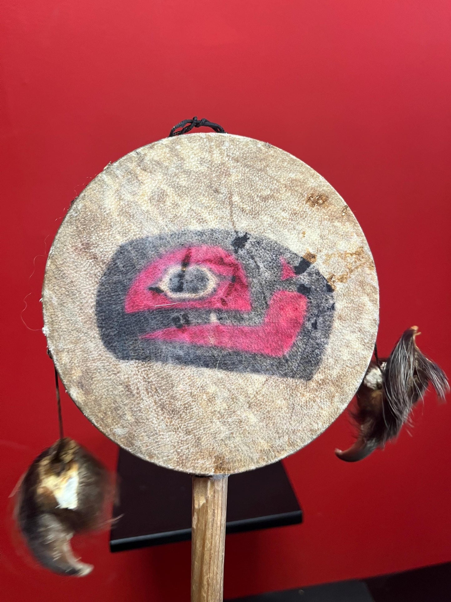 Lovely 14 x 5 wide indigenous first nation specific northwest coast antique drum with great sound  probably ceremonial piece