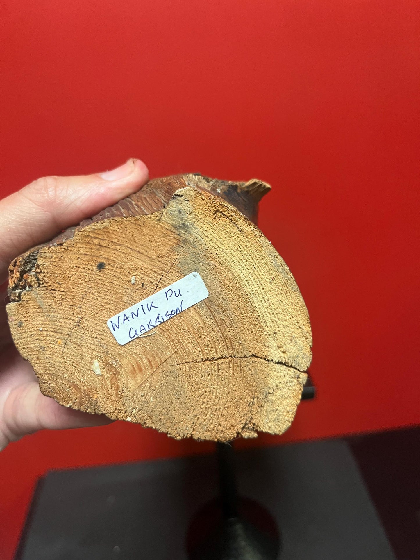 11 inch tall indigenous first nations Pacific Northwest Coast live Edge wood statue of a chief  attributed to WANIK GARRISON Great value