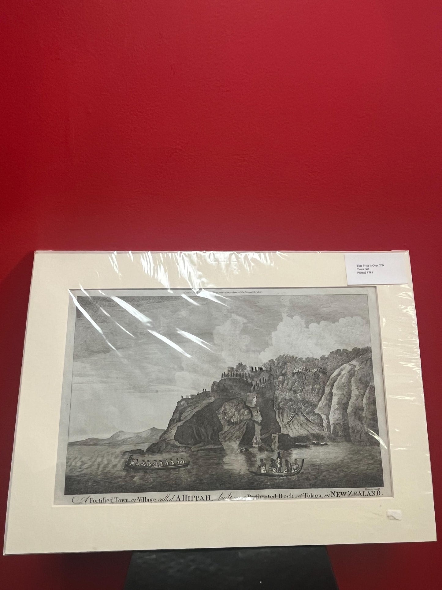 Very rare 17 x 12“ captain Cook journal print   authentic and matted  ready for frame  great gift