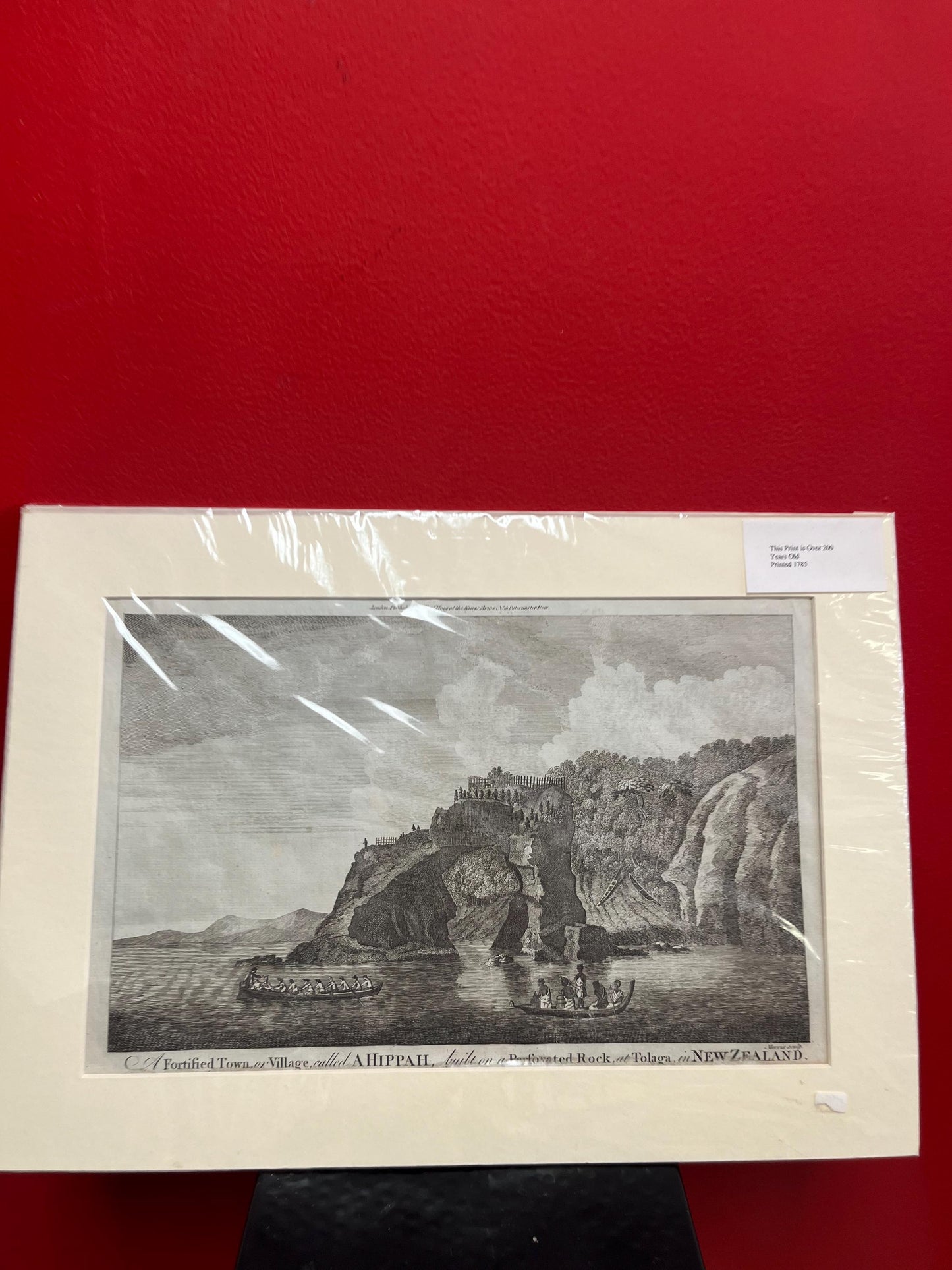 Very rare 17 x 12“ captain Cook journal print   authentic and matted  ready for frame  great gift