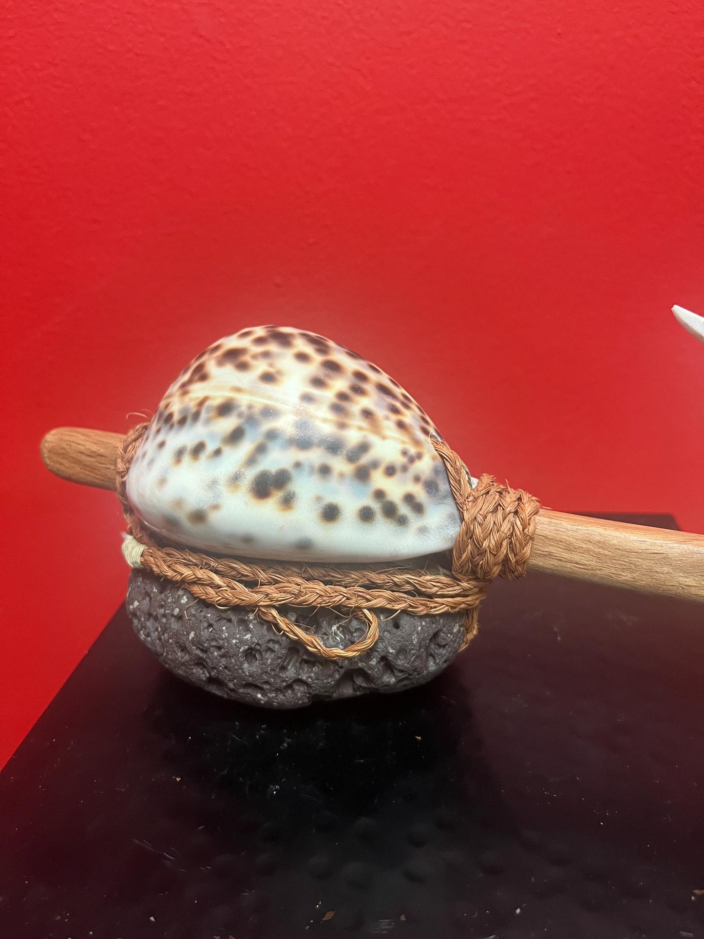 12 x 4 inch rare vintage Tahitian octopus hook - very very cool piece  unusual gift  one of a kind