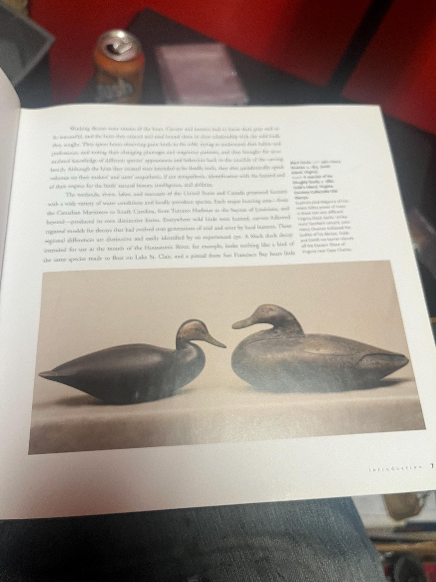 Amazing bird decoys of North America book by Robert Shaw perfect gift  great used condition  good value