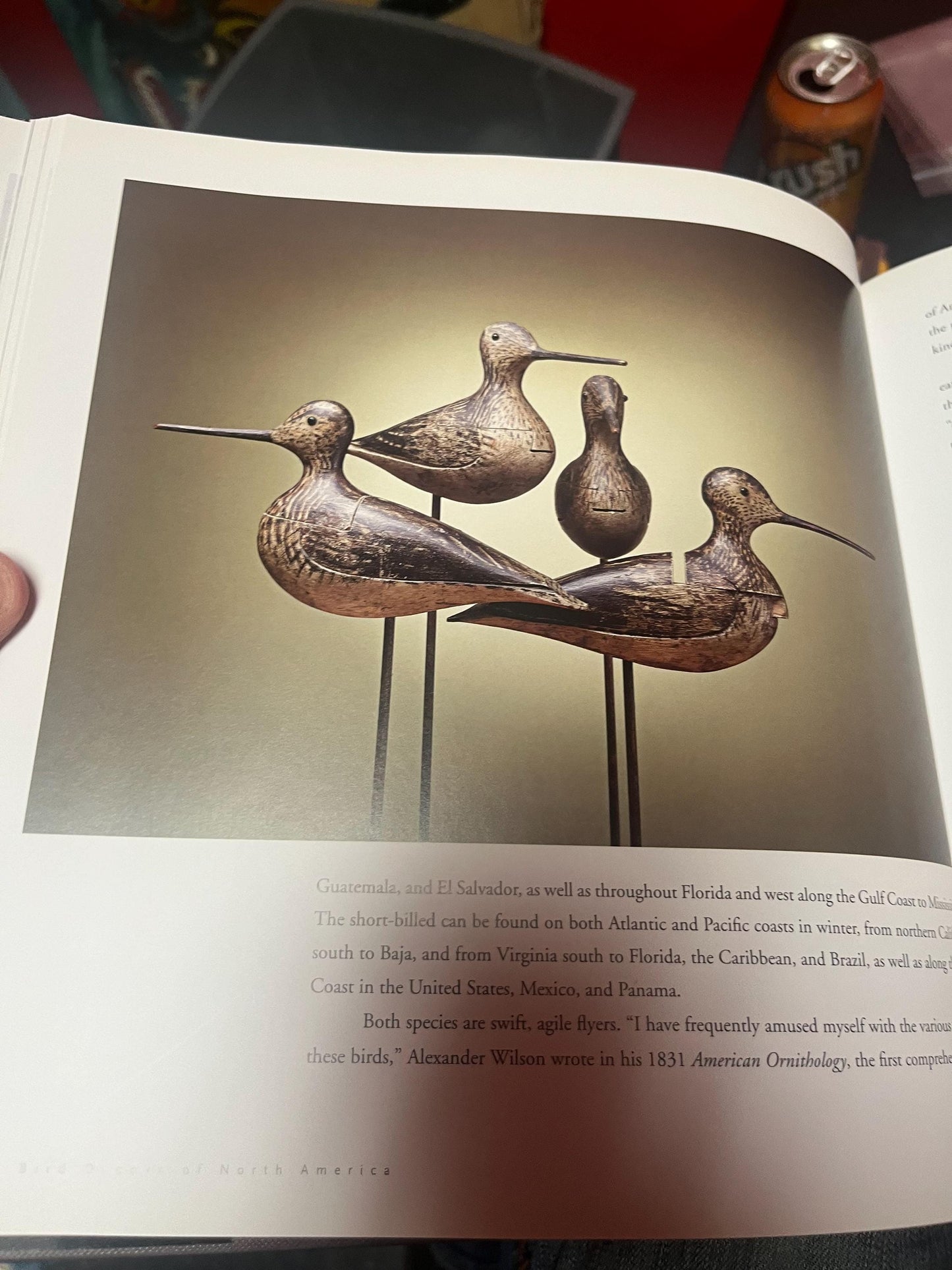 Amazing bird decoys of North America book by Robert Shaw perfect gift  great used condition  good value