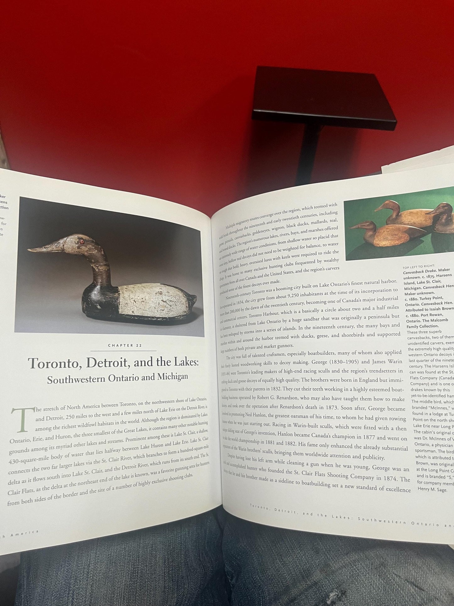 Amazing bird decoys of North America book by Robert Shaw perfect gift  great used condition  good value