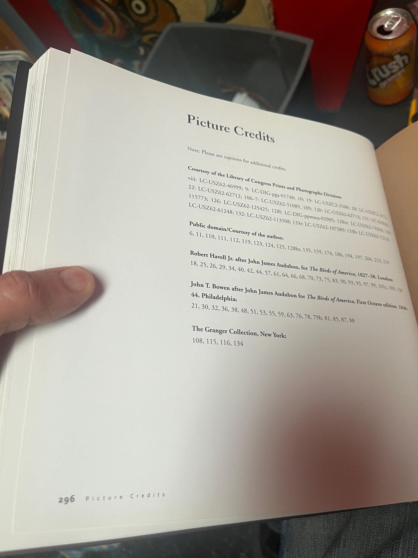 Amazing bird decoys of North America book by Robert Shaw perfect gift  great used condition  good value