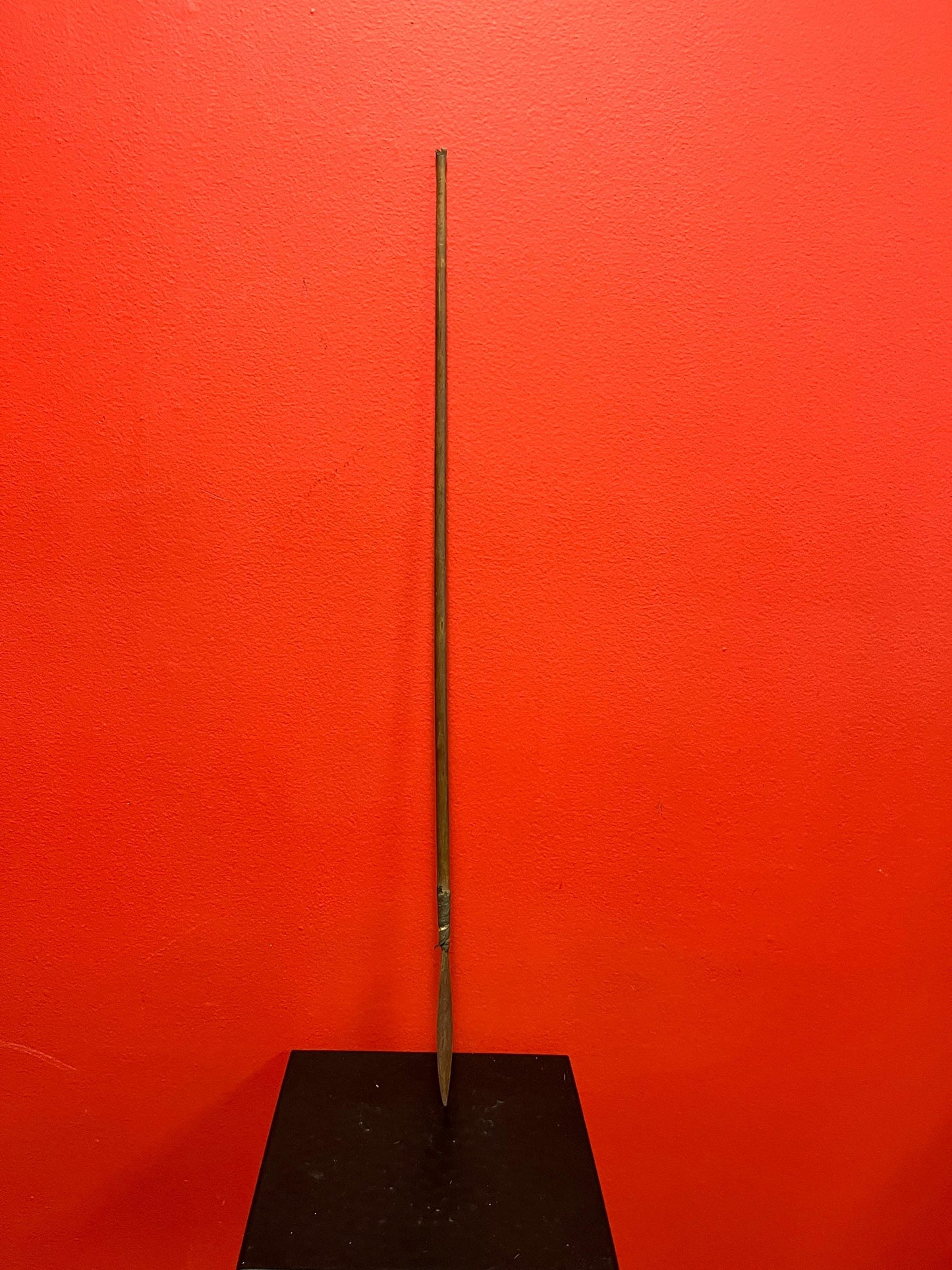 Lovely antique 22 inch indigenous spear