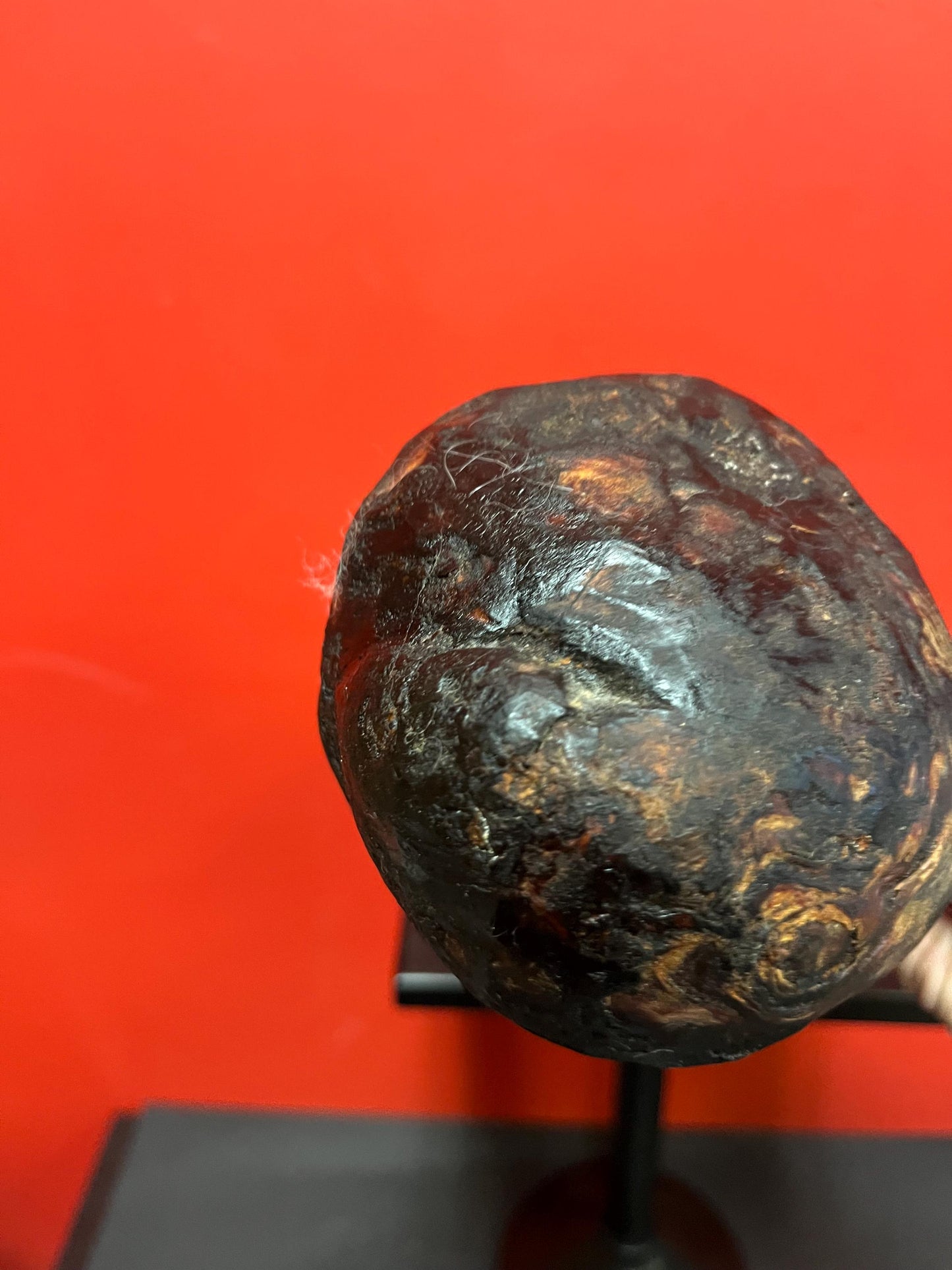 Fabulous 8 inch long antique authentic indigenous first nations pacific northwest coast  wooden burl club weapon  wonderful history