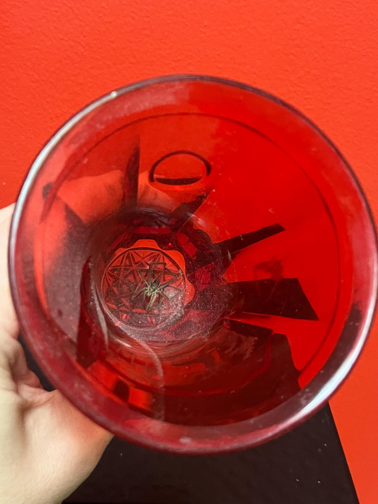 Early 19th century Ruby etched glass spa glass  5.5 inch  European beauty  perfect condition