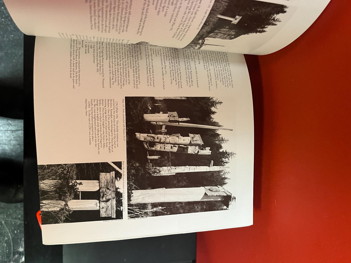 Beautiful huge Haida  monumental art book  indigenous first nations 218 pages pretty good condition