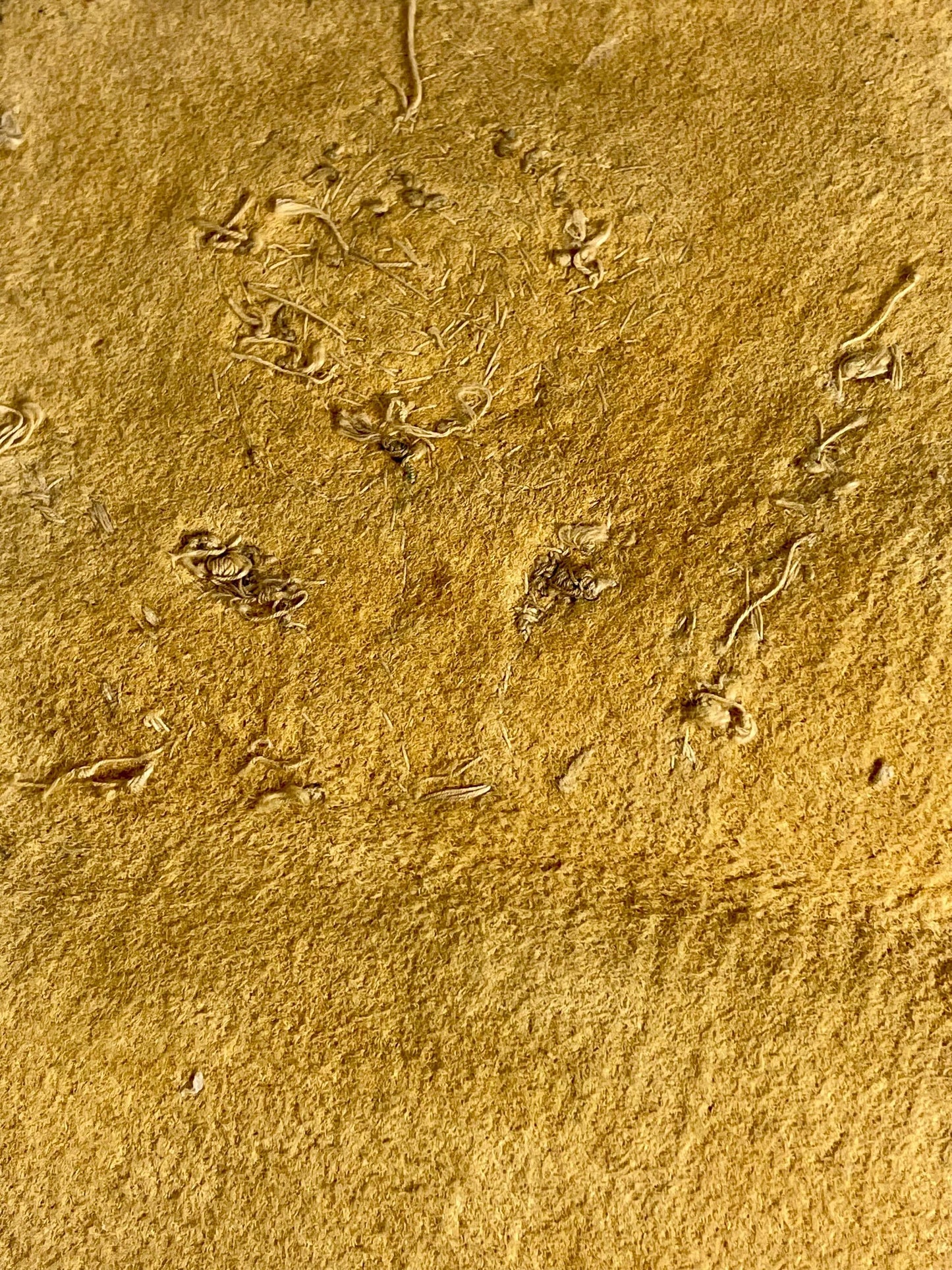 8 x 4.5 inch Indigenous First Nations Beaded Piece of Leather