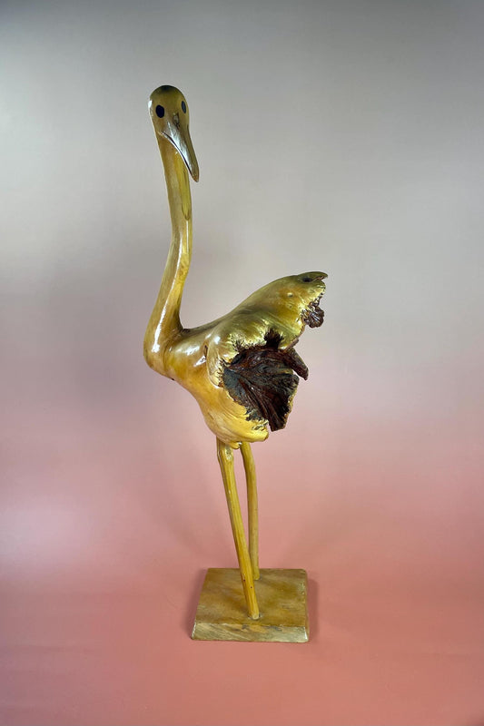 Stunning 15 inch Burl Wood Ostrich