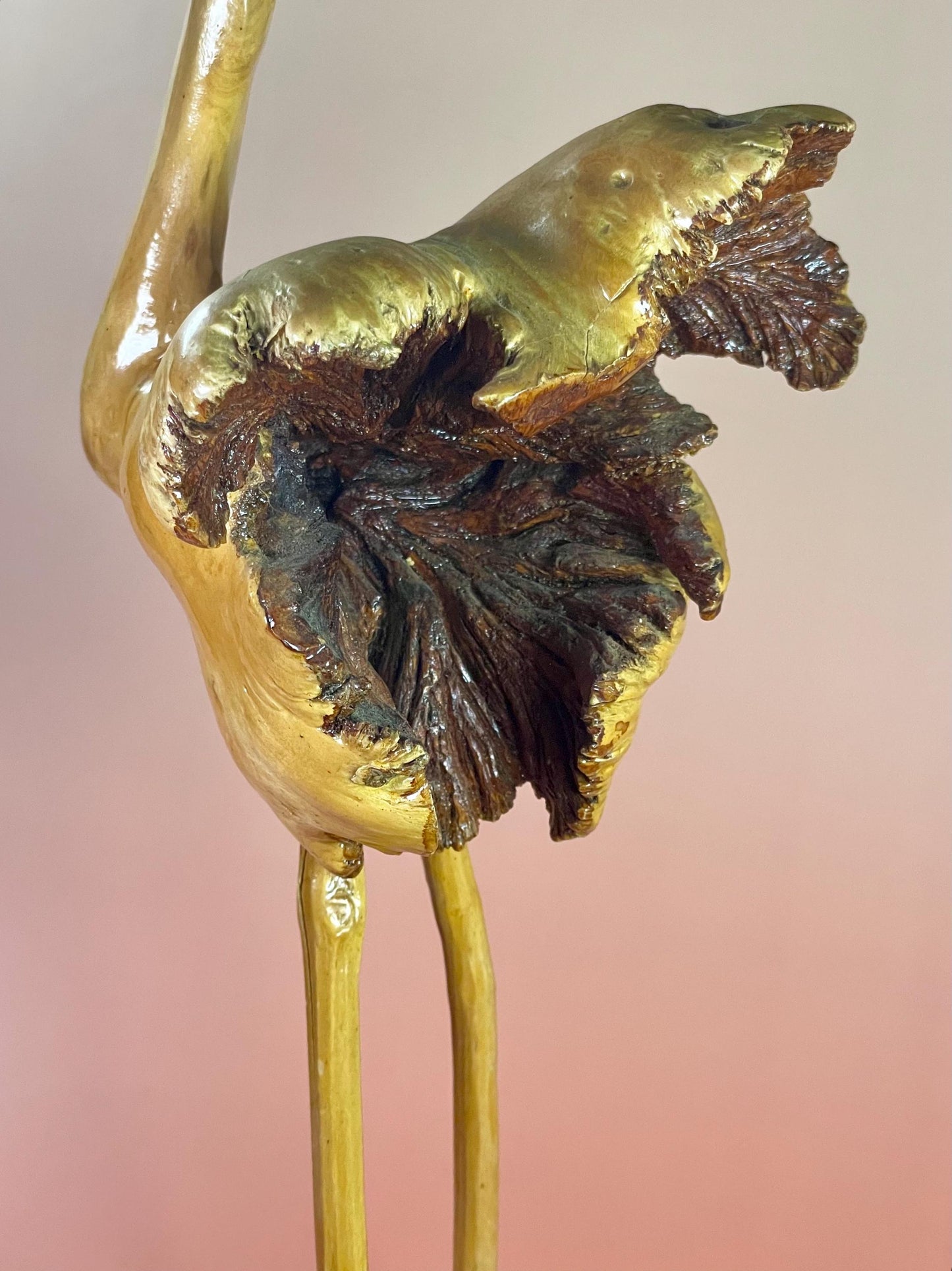 Stunning 15 inch Burl Wood Ostrich