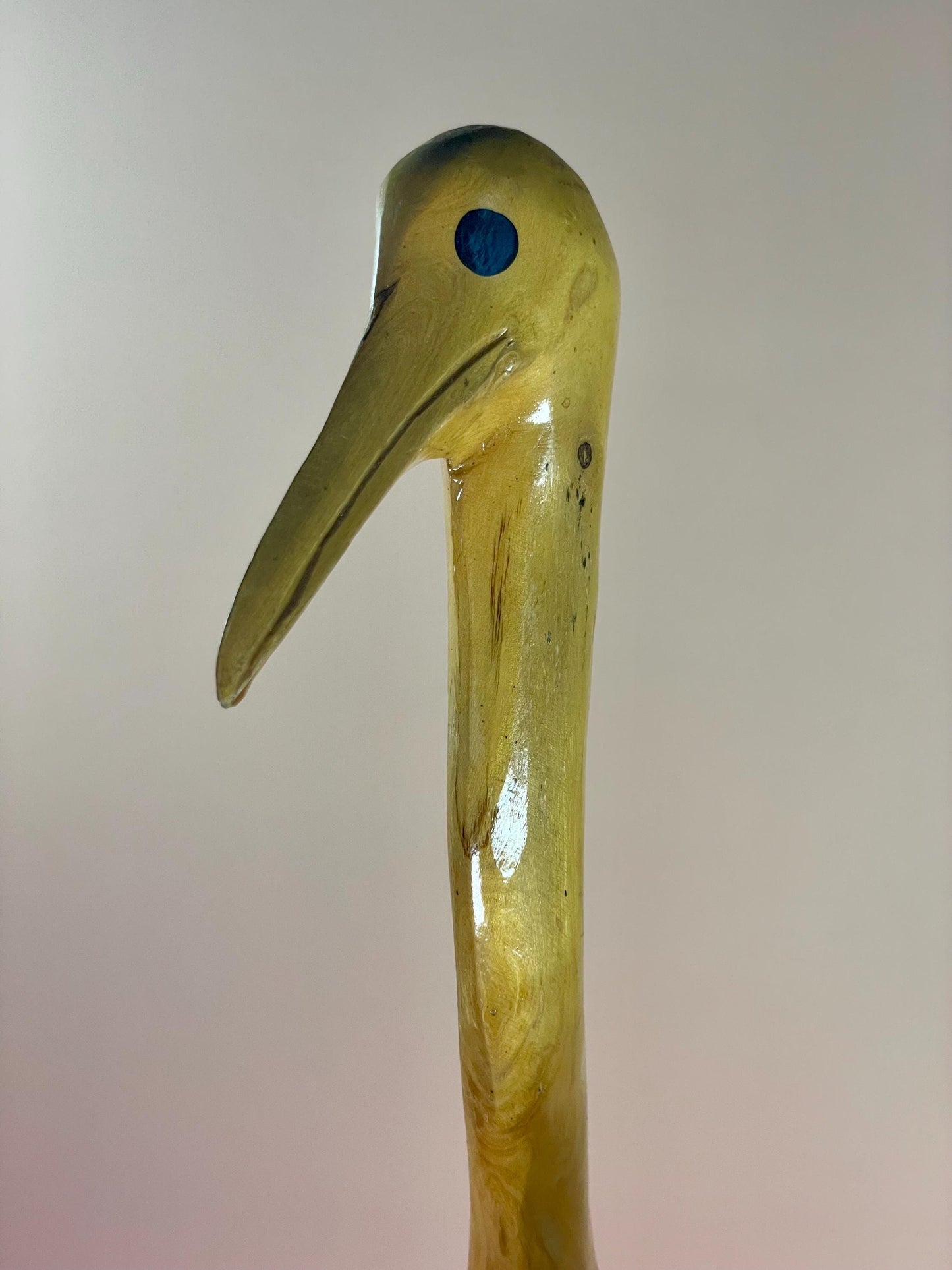 Stunning 15 inch Burl Wood Ostrich