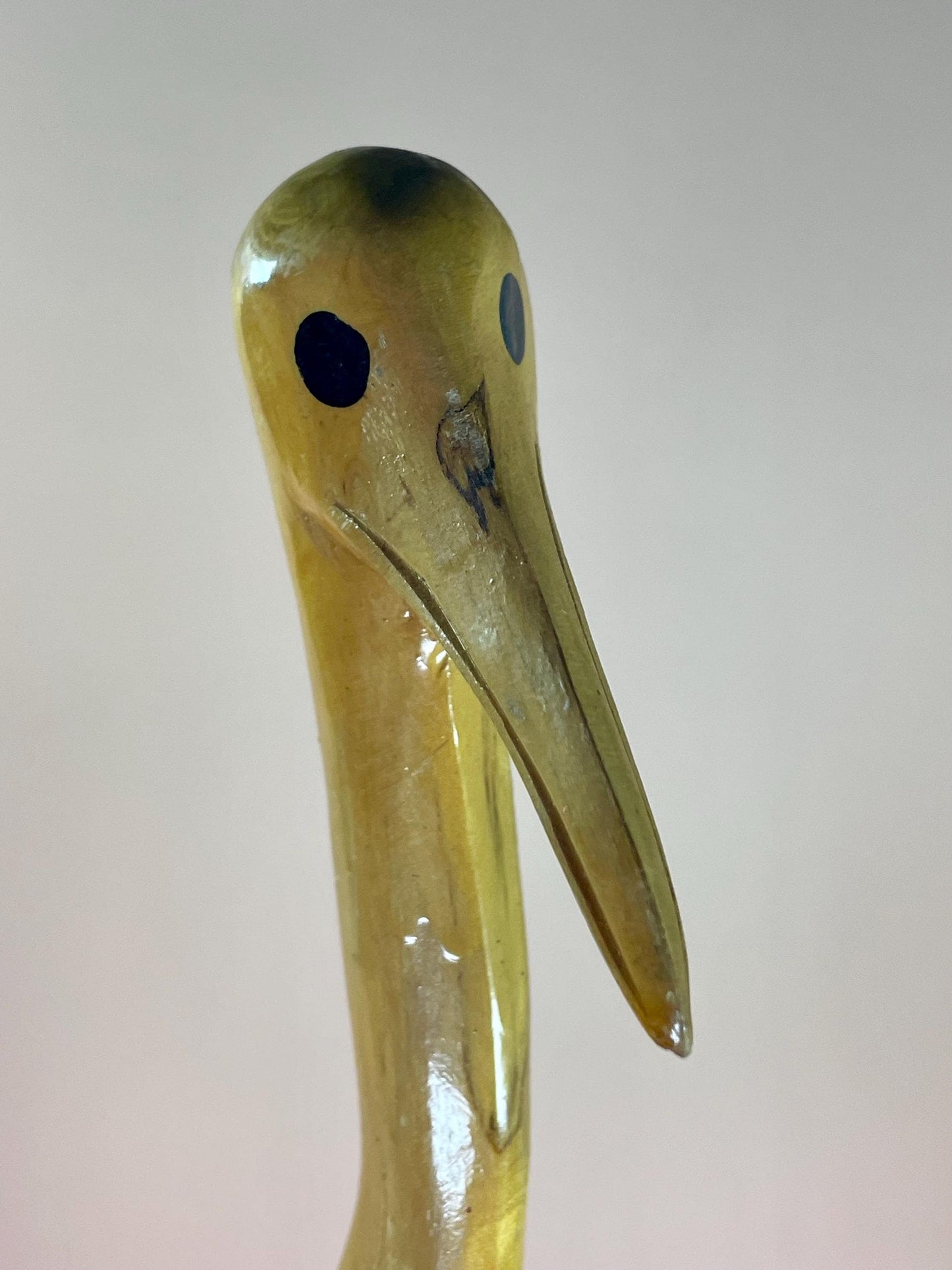 Stunning 15 inch Burl Wood Ostrich