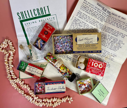 1940s Vintage Shell Collection  A Nostalgic Maritime Treasure