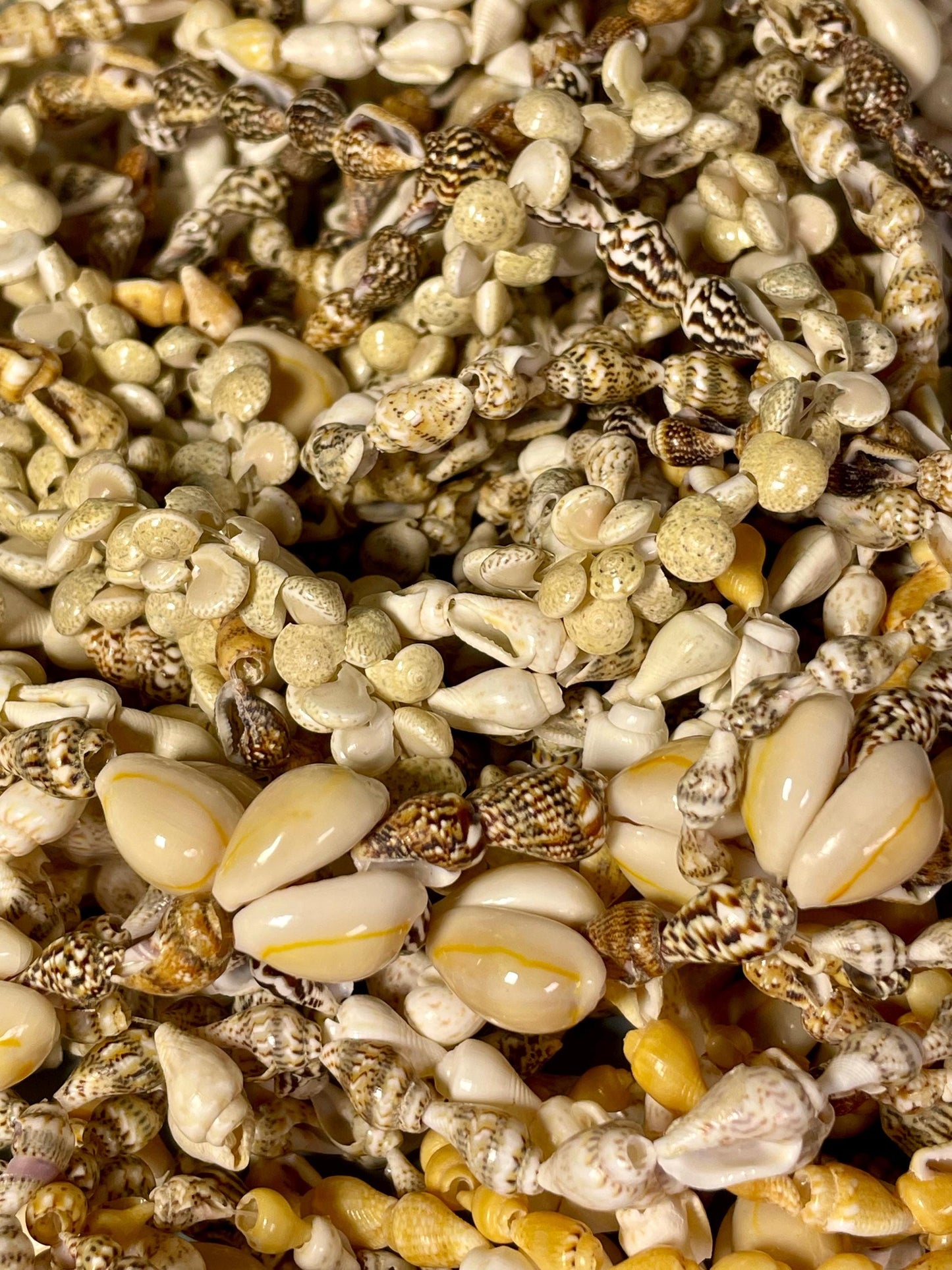 Huge Lot of Puka Shell Necklaces  Perfect for Wear or Crafting