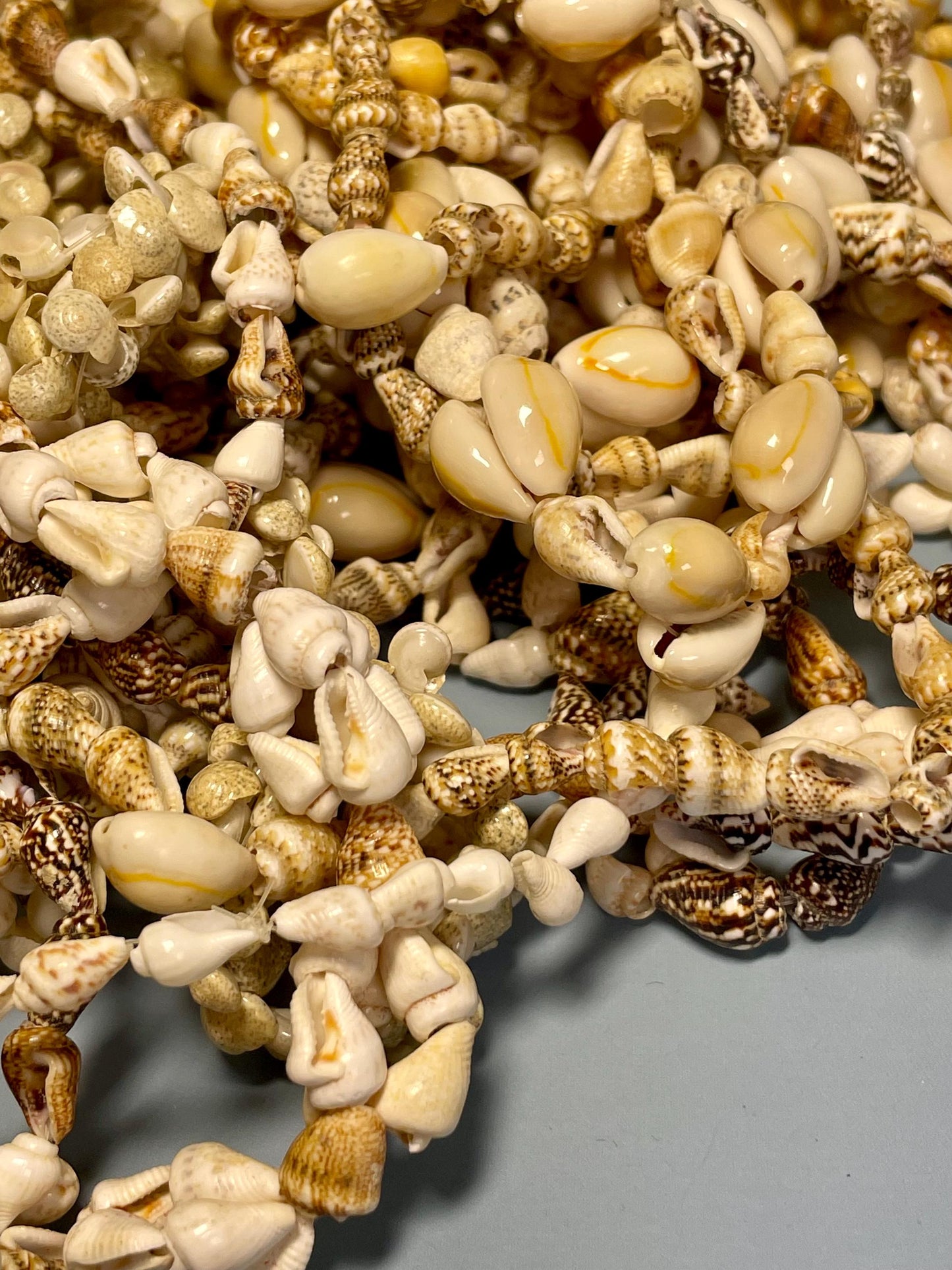 Huge Lot of Puka Shell Necklaces  Perfect for Wear or Crafting