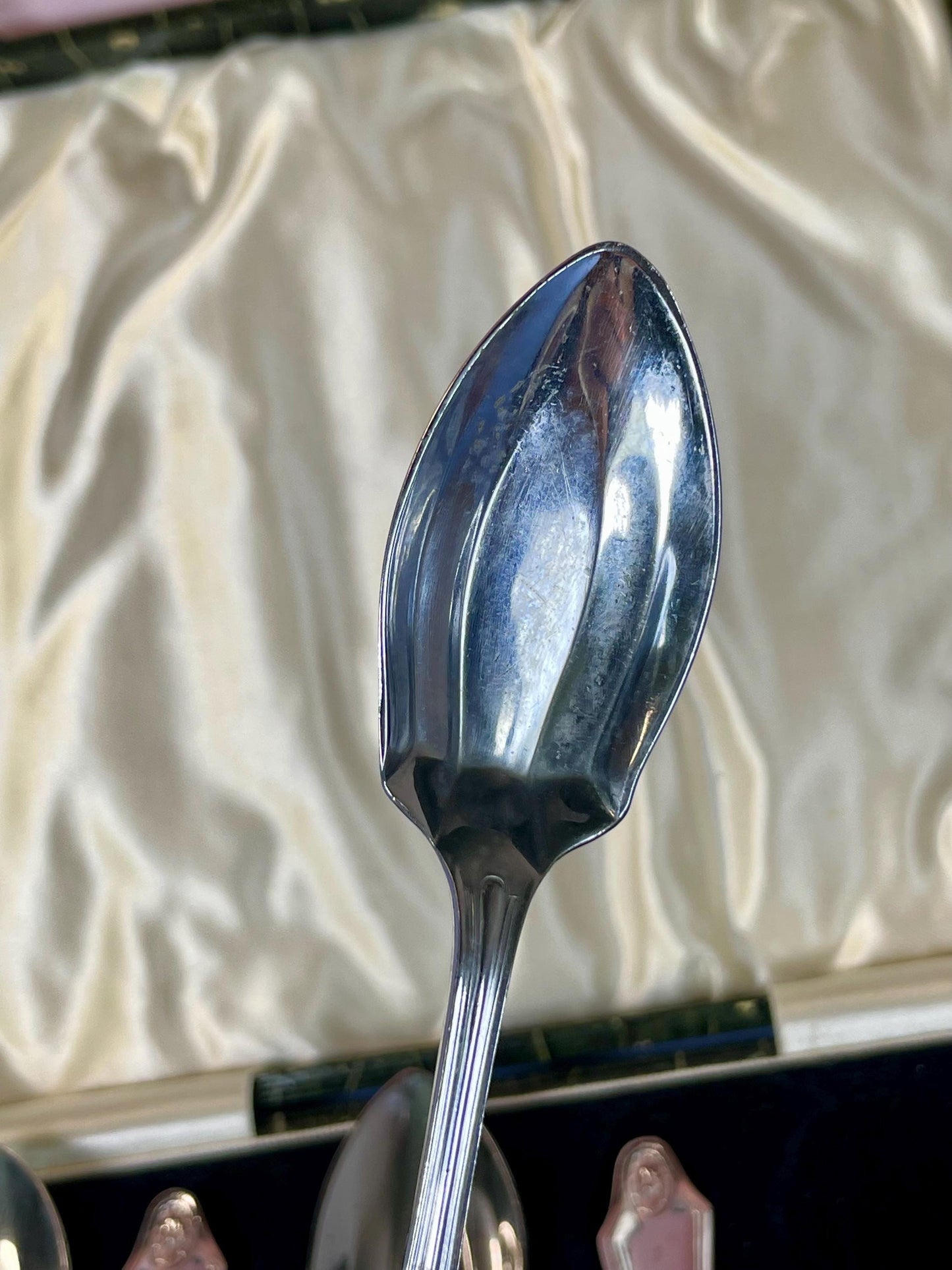 Silver-Plated Grapefruit Spoons Set  5.75 in  in Case