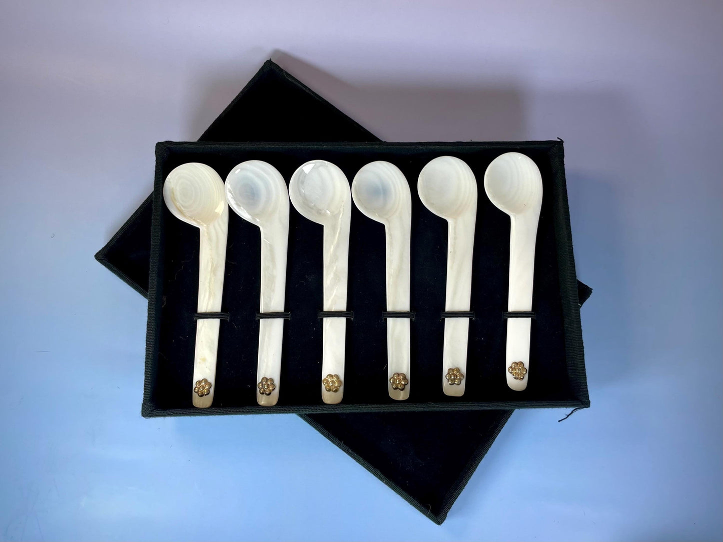 Vintage Shell Spoon Set with Flower Handles  With Box