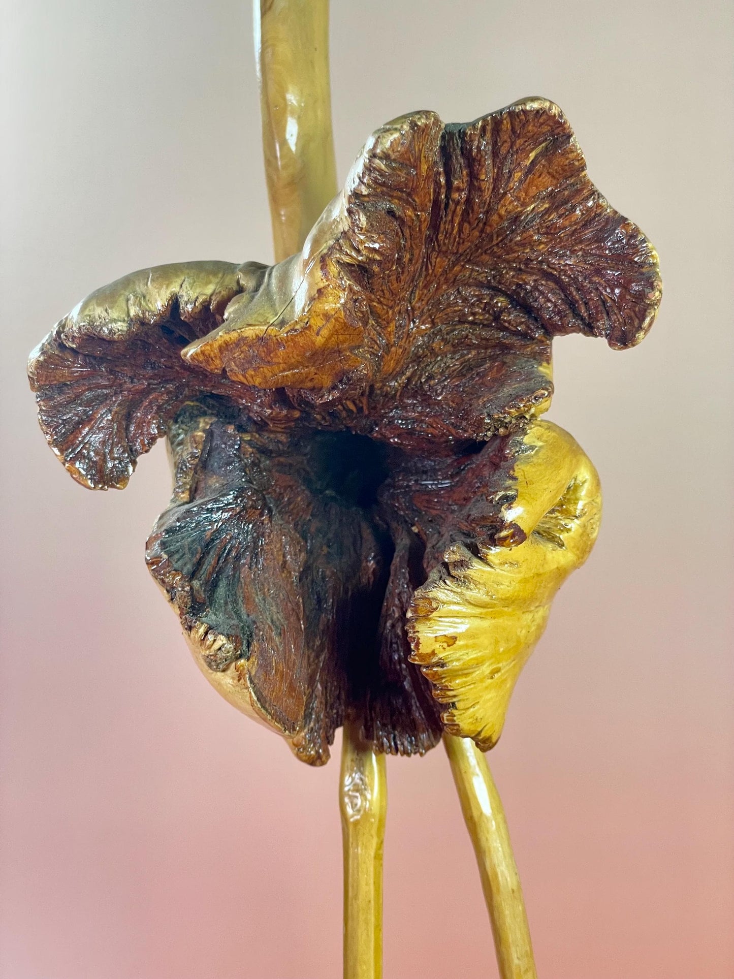 Stunning 15 inch Burl Wood Ostrich