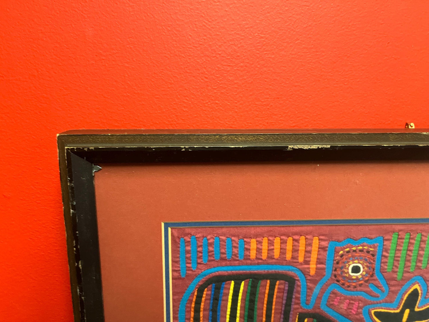 Beautiful huge South American MOLA infra  great imagery and detail  23 x 19 mola great Condition  South American art