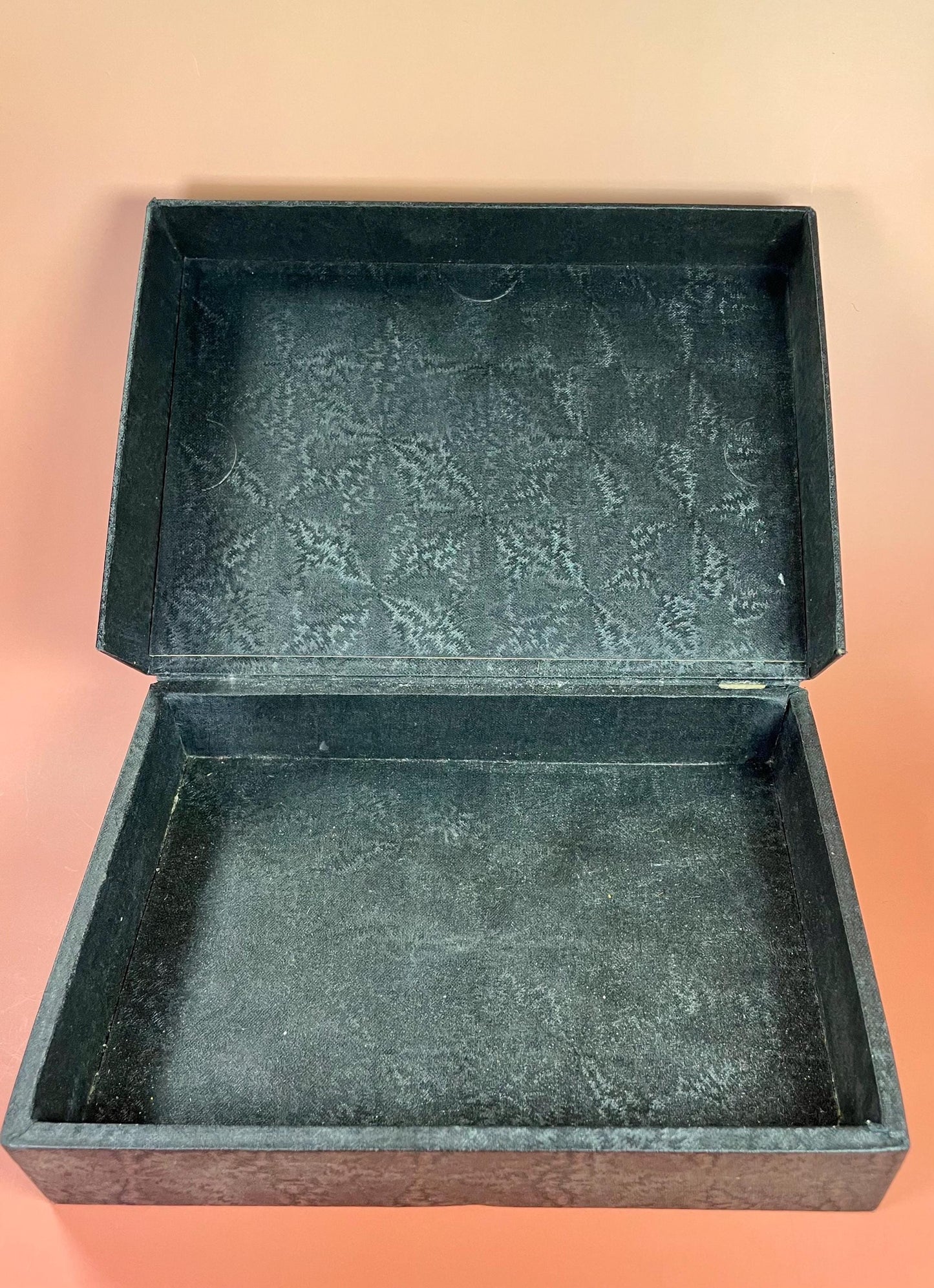 Cool American Electrotypes box  Great Graphics  Campbells Soup