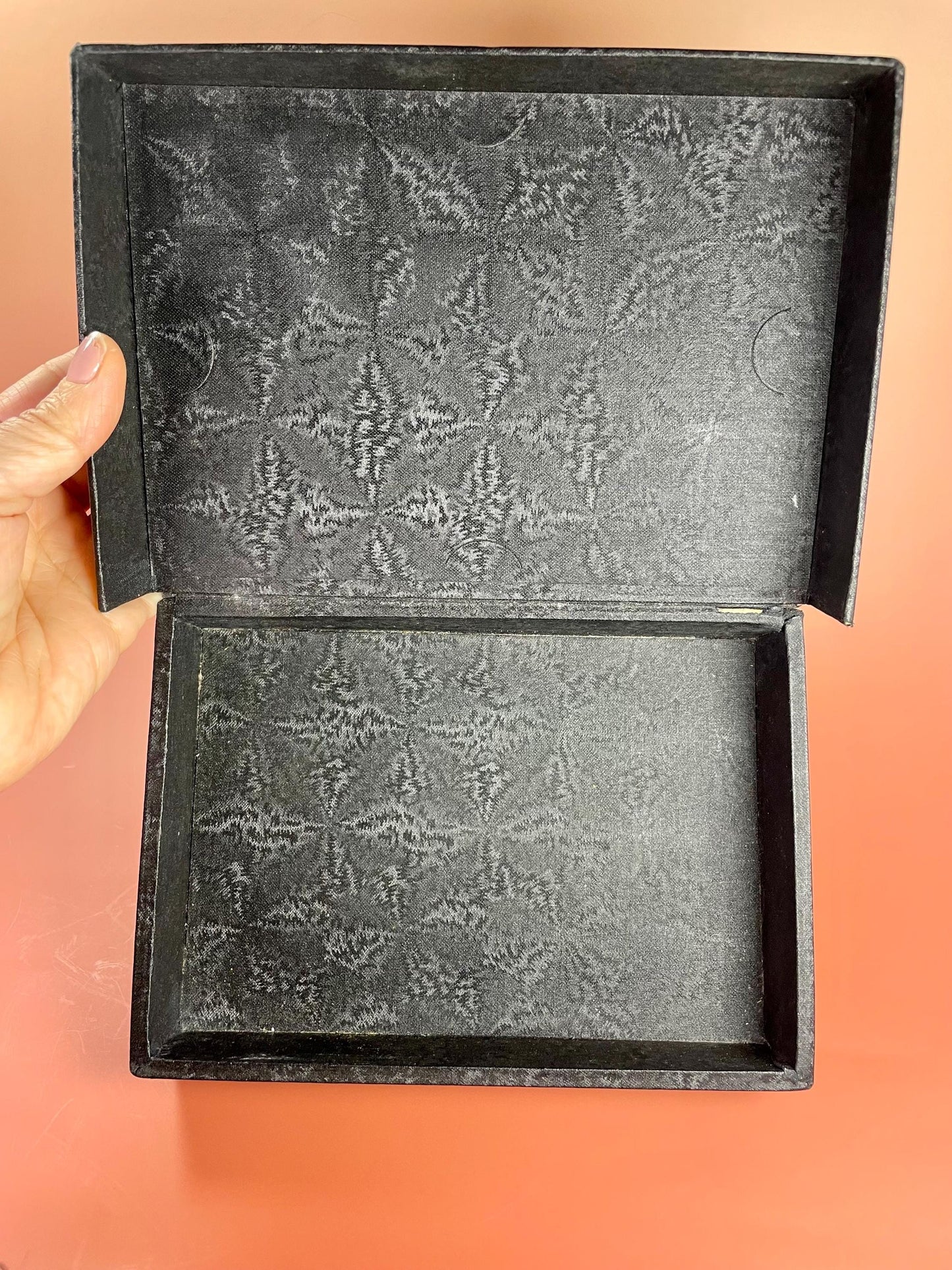 Cool American Electrotypes box  Great Graphics  Campbells Soup