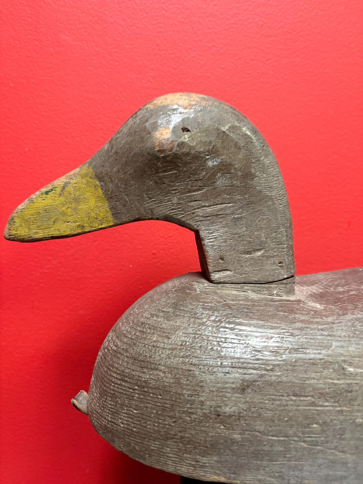Stunning antique Canadian duck decoy   15 x 8 high  great patina  wonderful example