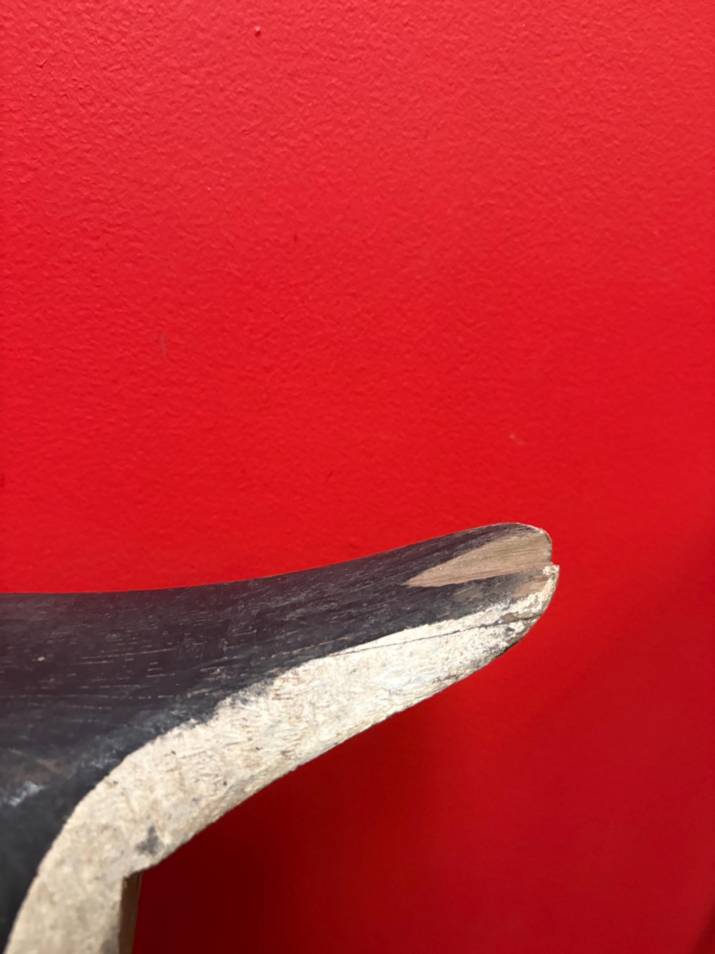 Stunning antique Canadian duck decoy   20 x 9 high  chip on tail  great patina  wonderful example