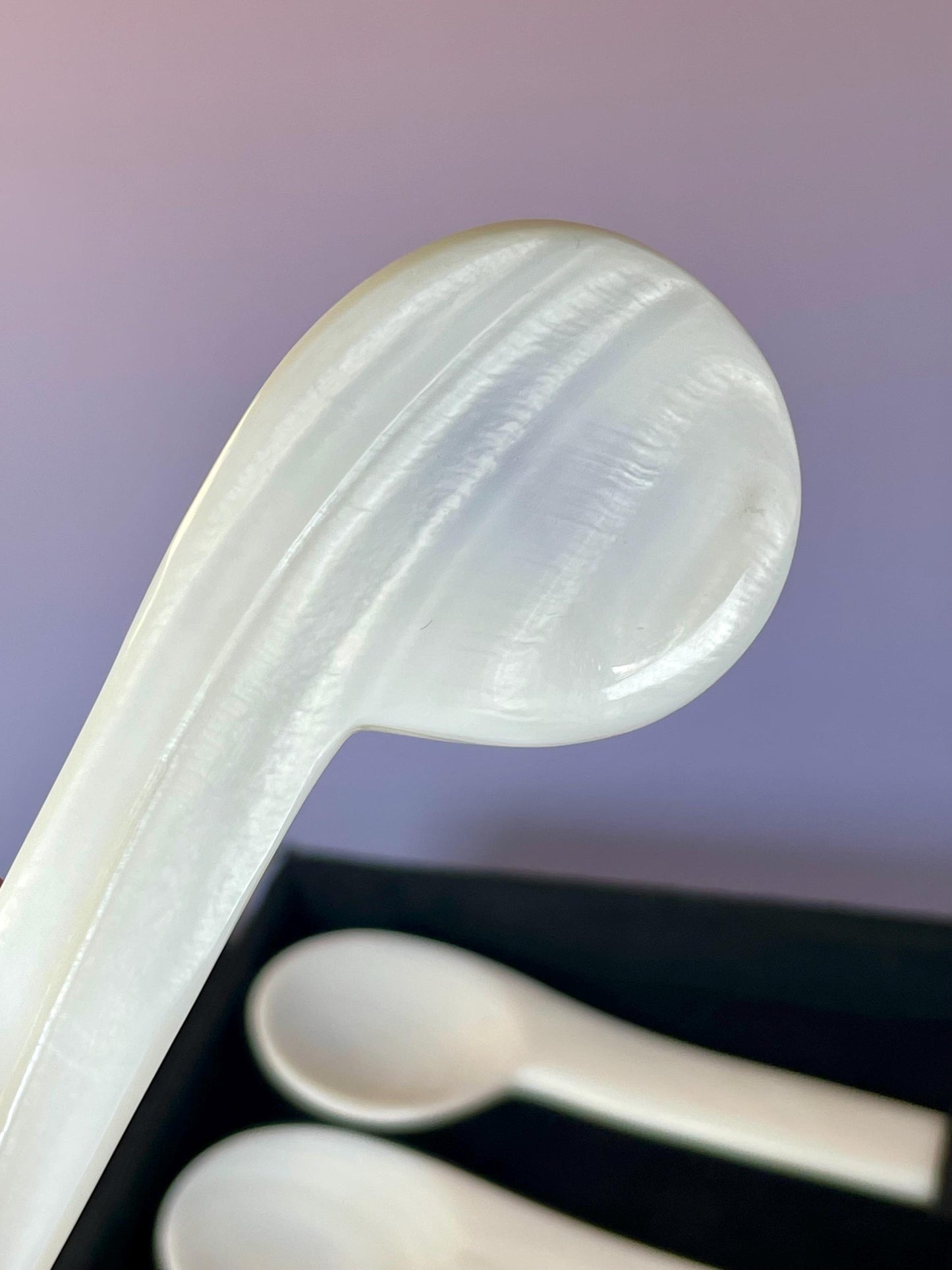 Vintage Shell Spoon Set with Flower Handles  With Box