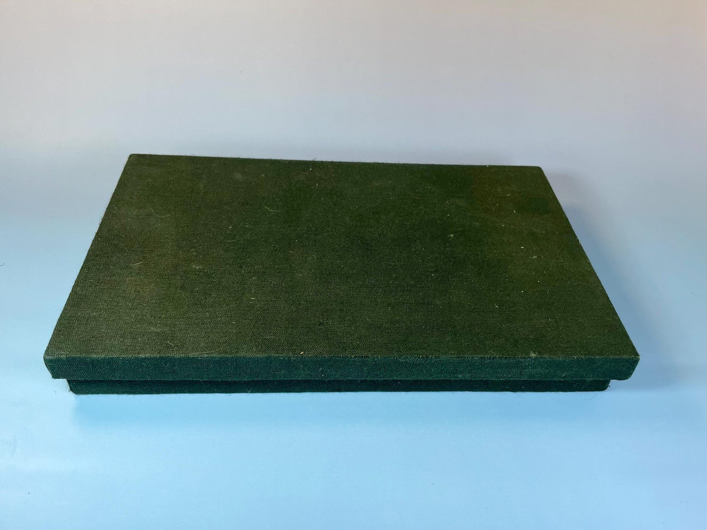 Vintage Shell Spoon Set with Flower Handles  With Box