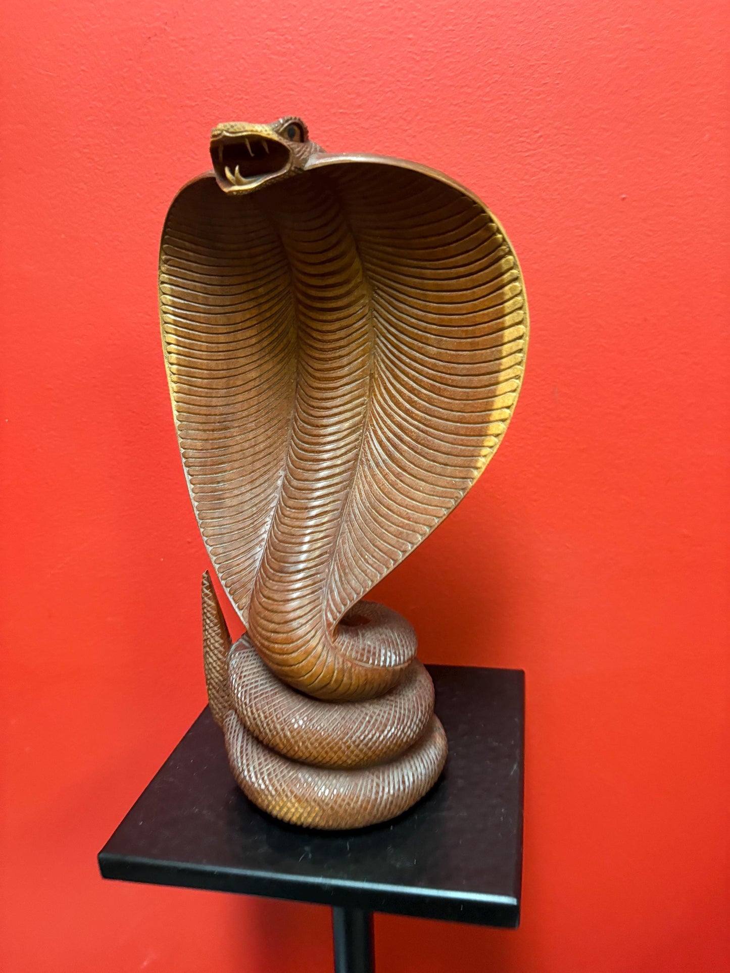 Stunning Asian 12 inch python snake carved out of wood   amazing condition and fabulous detail great value and great gift