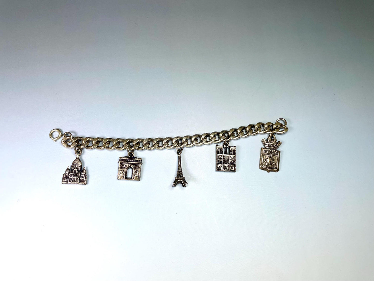 Classic Metal Link Bracelet with Paris Charms  Timeless and Versatile