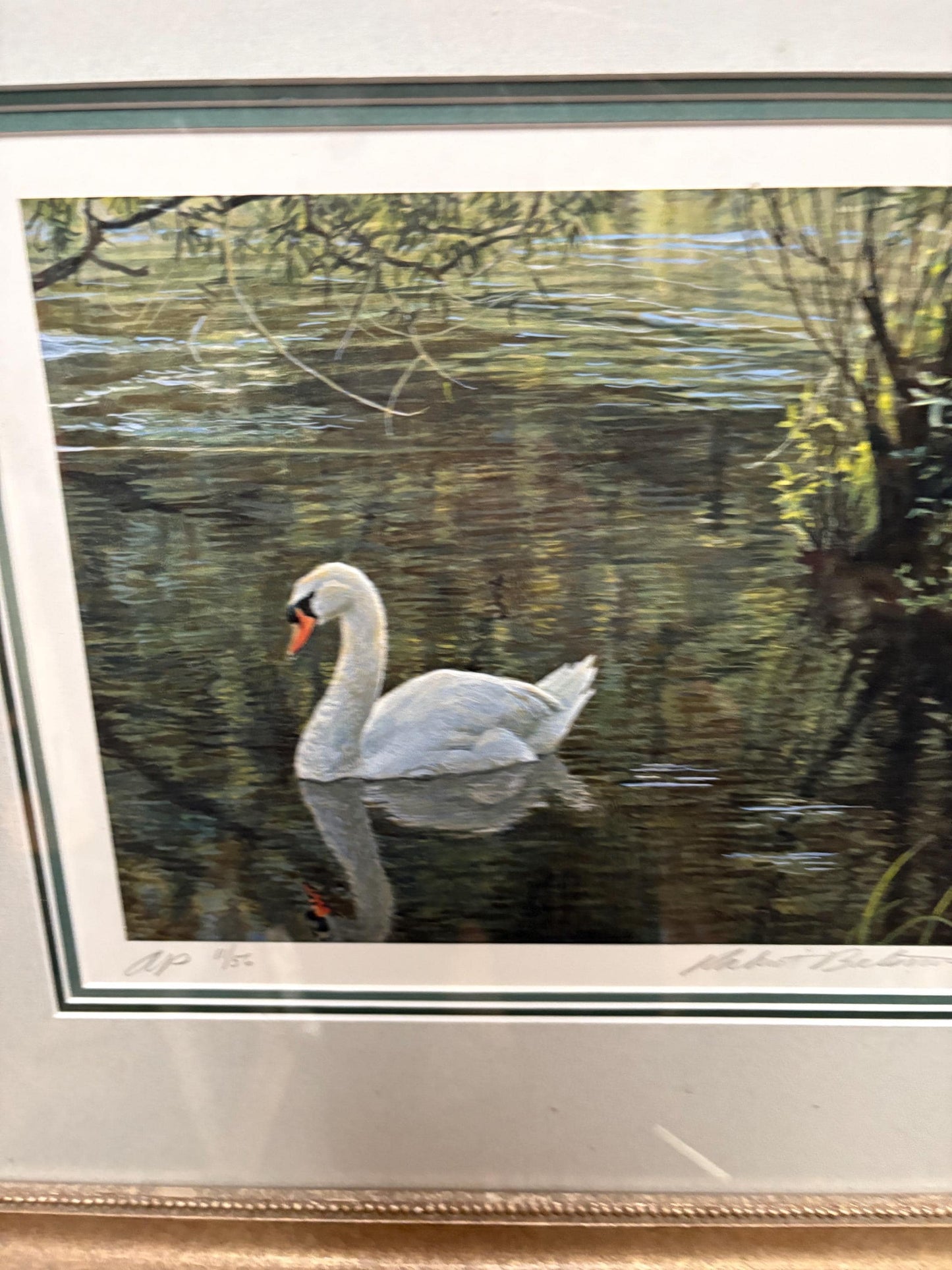 Fantastic Vancouver Island Robert Bateman signed Limited Proof print in beautiful frame  18 x 16“  great value  stunning gift  wow