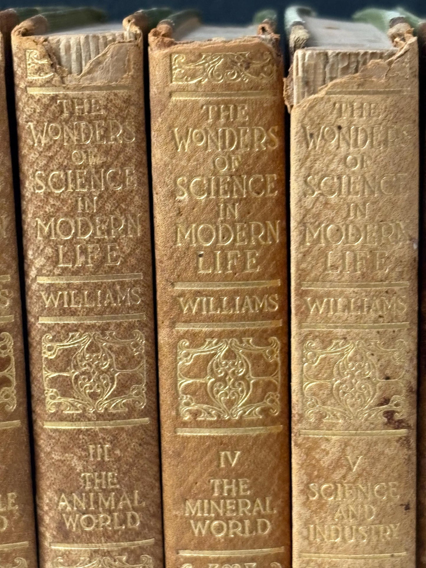 Stunning set of 10 books  - the wonders of science in modern life by Williams  antique condition  1911 -  looks like first edition - wow