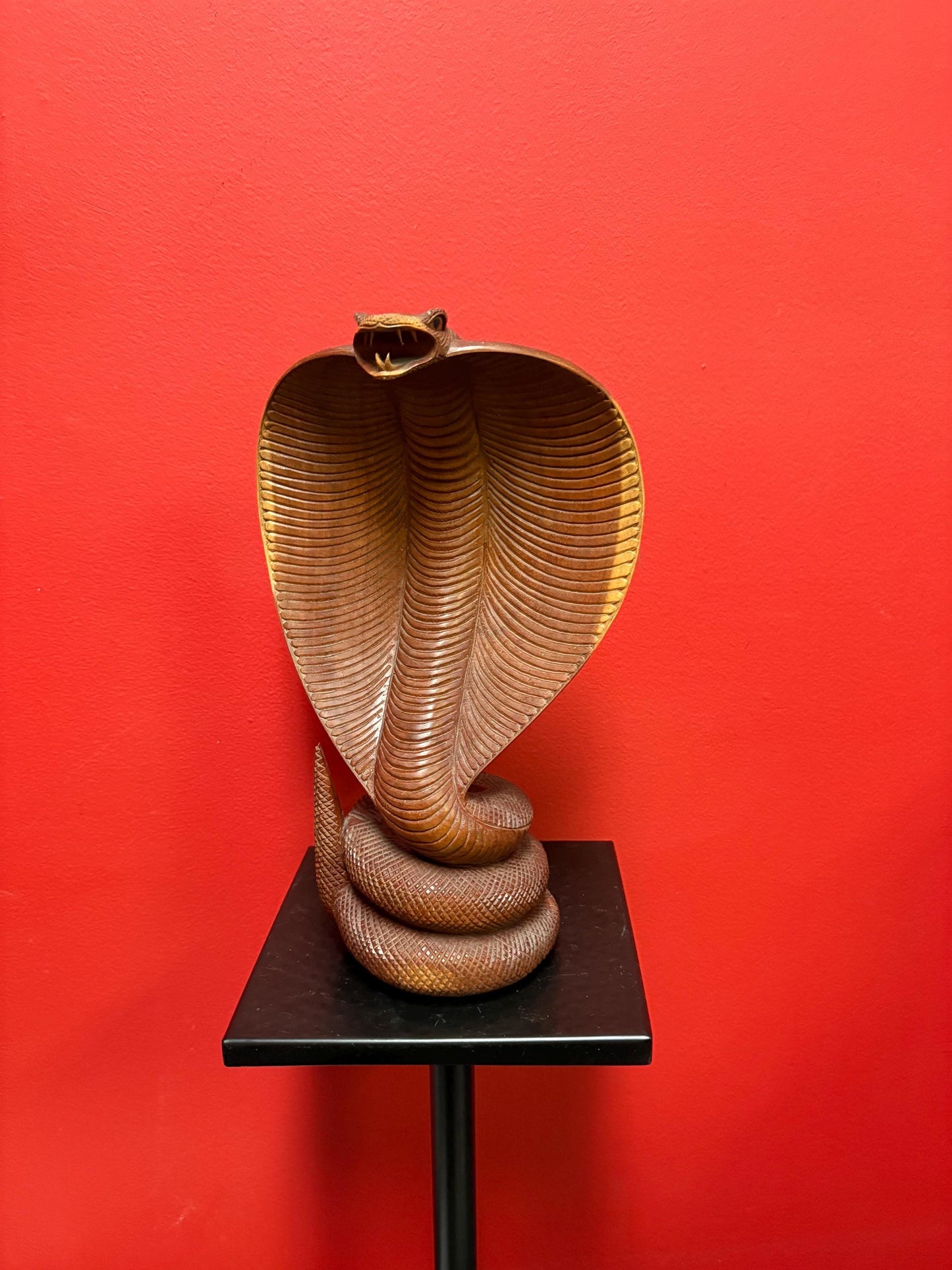 Stunning Asian 12 inch python snake carved out of wood   amazing condition and fabulous detail great value and great gift
