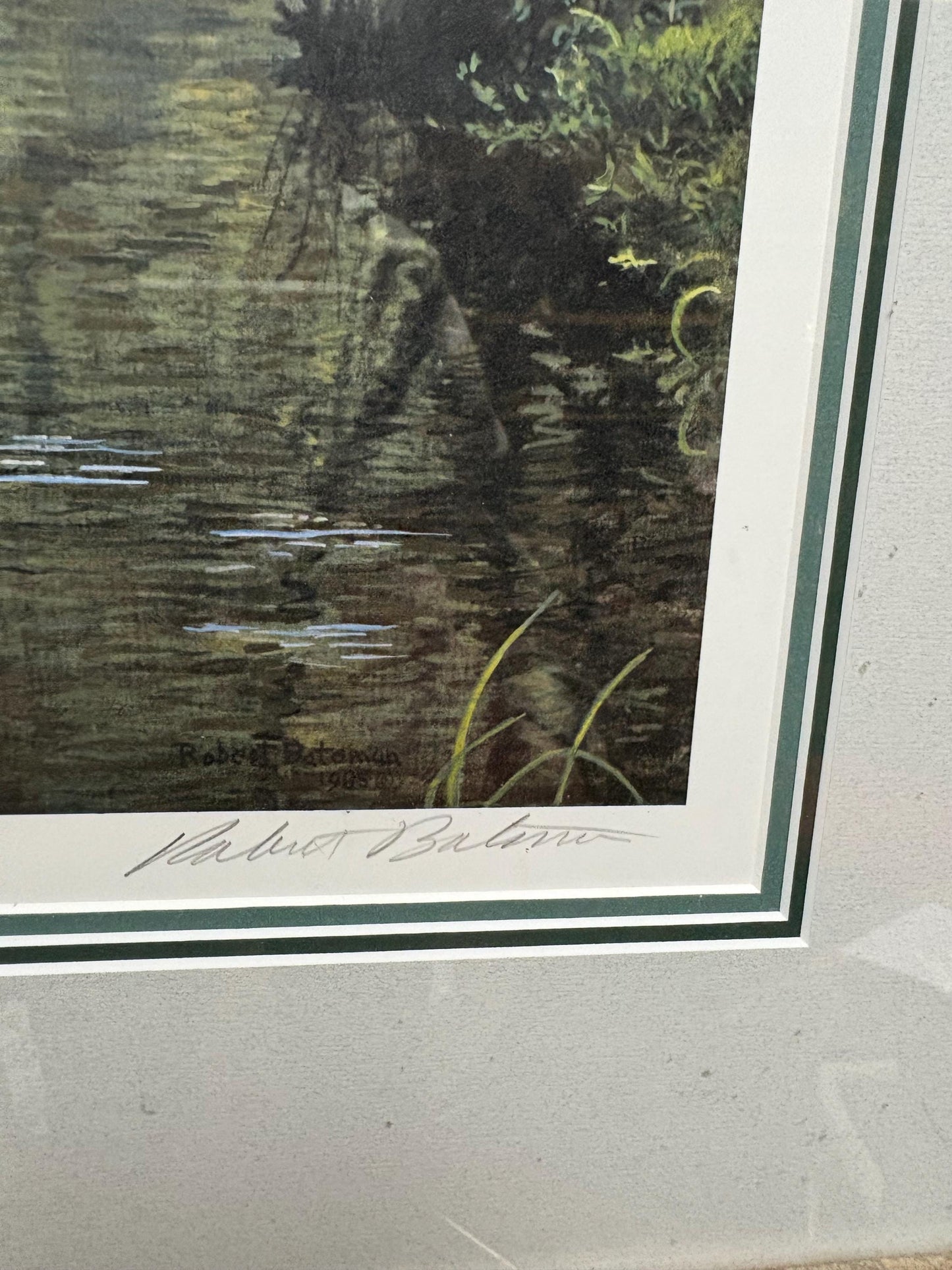 Fantastic Vancouver Island Robert Bateman signed Limited Proof print in beautiful frame  18 x 16“  great value  stunning gift  wow
