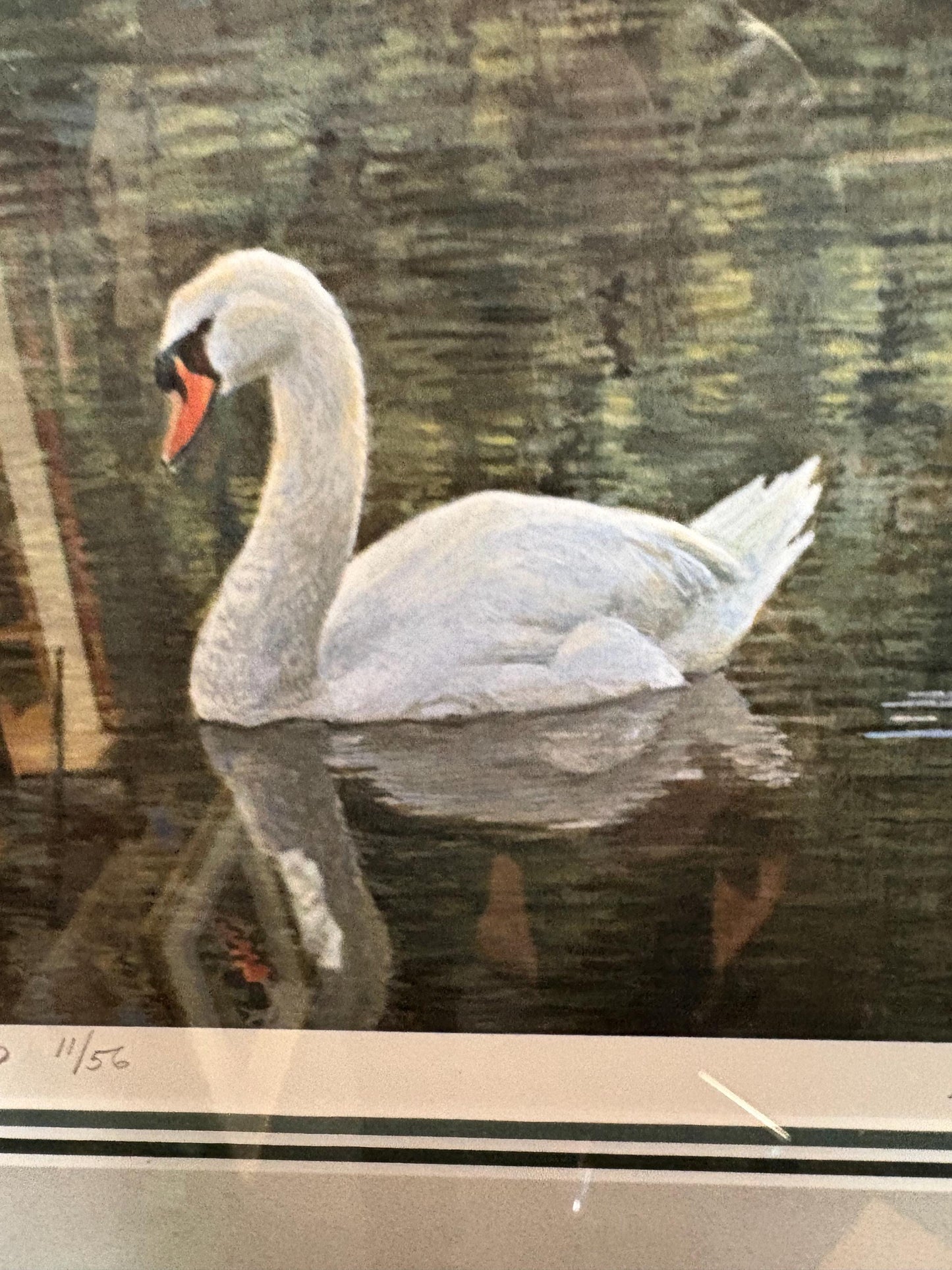 Fantastic Vancouver Island Robert Bateman signed Limited Proof print in beautiful frame  18 x 16“  great value  stunning gift  wow