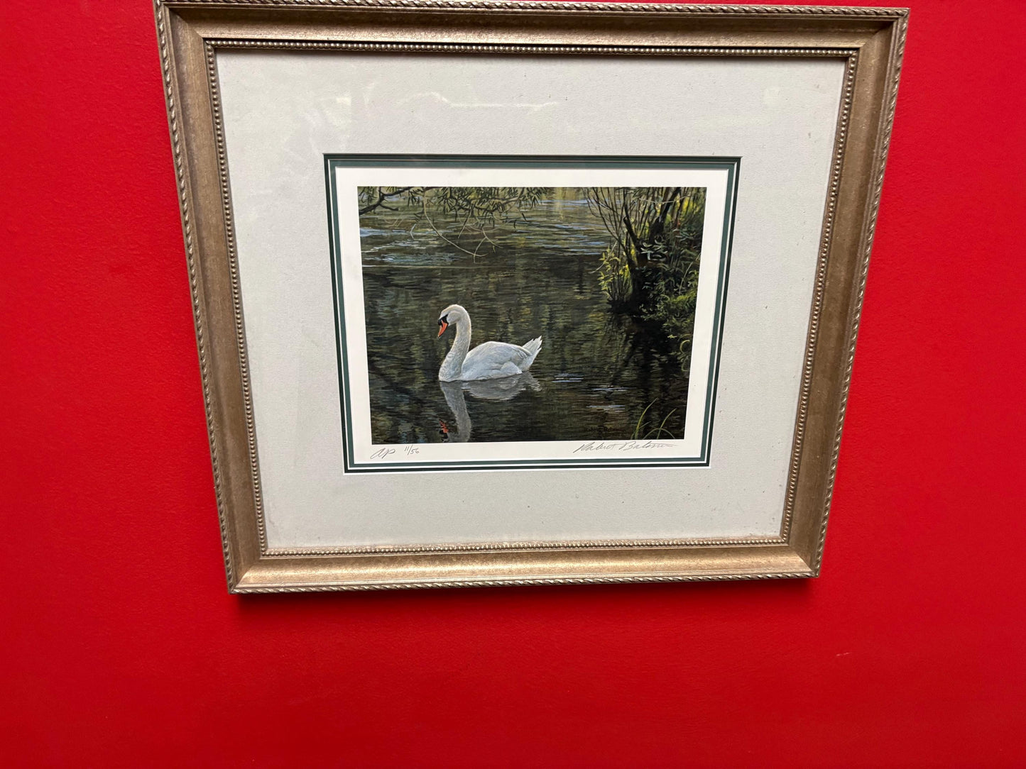 Fantastic Vancouver Island Robert Bateman signed Limited Proof print in beautiful frame  18 x 16“  great value  stunning gift  wow