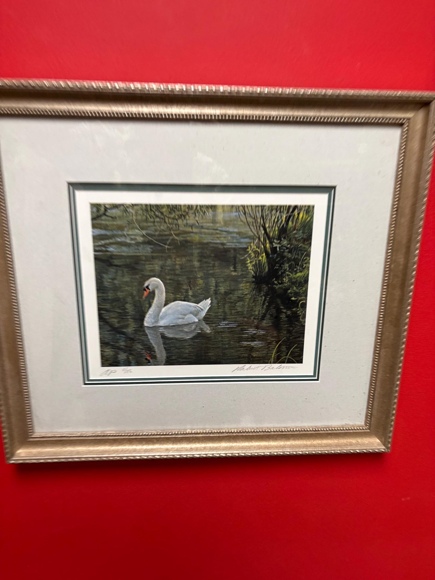 Fantastic Vancouver Island Robert Bateman signed Limited Proof print in beautiful frame  18 x 16“  great value  stunning gift  wow