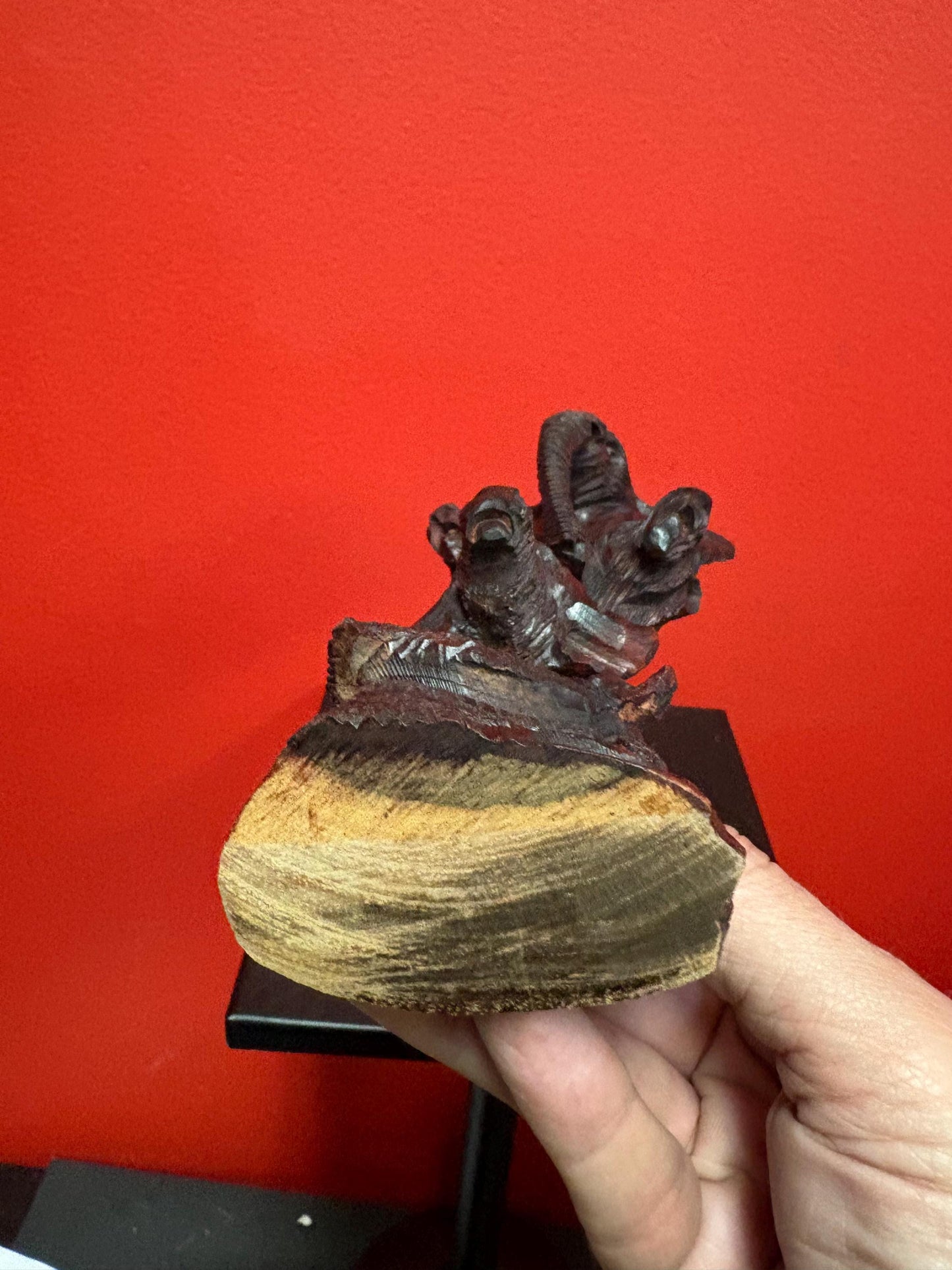 Beautiful African 9 inch wooden sculpture of the big five  wonderful detail and great value  perfect gift