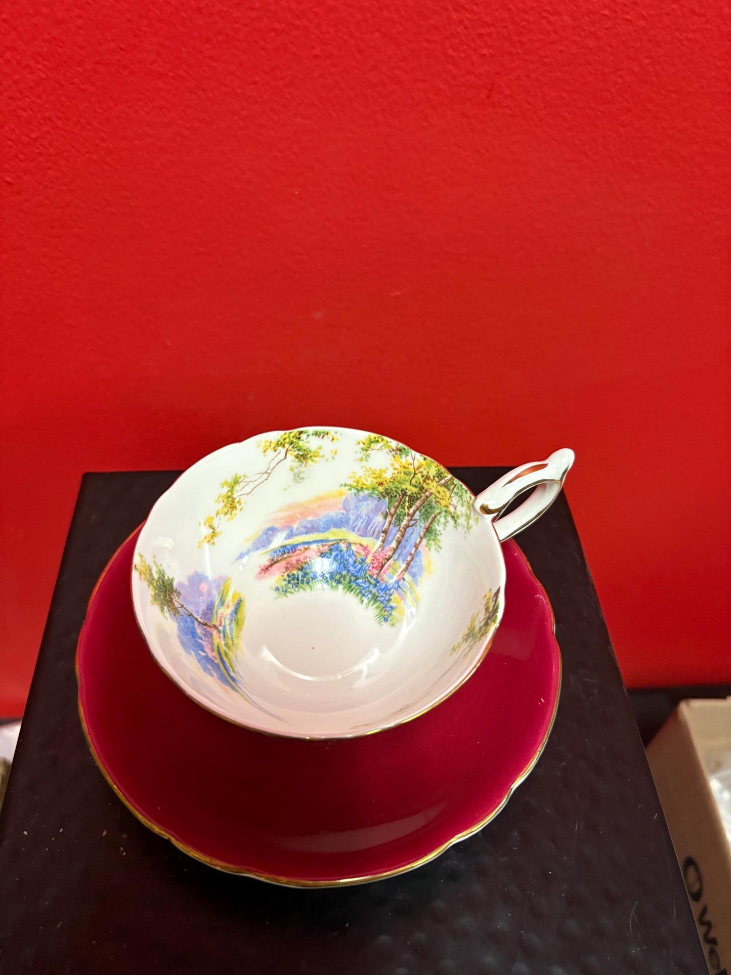 Unusual Aynsley cup and saucer   one tiny chip  price reflects