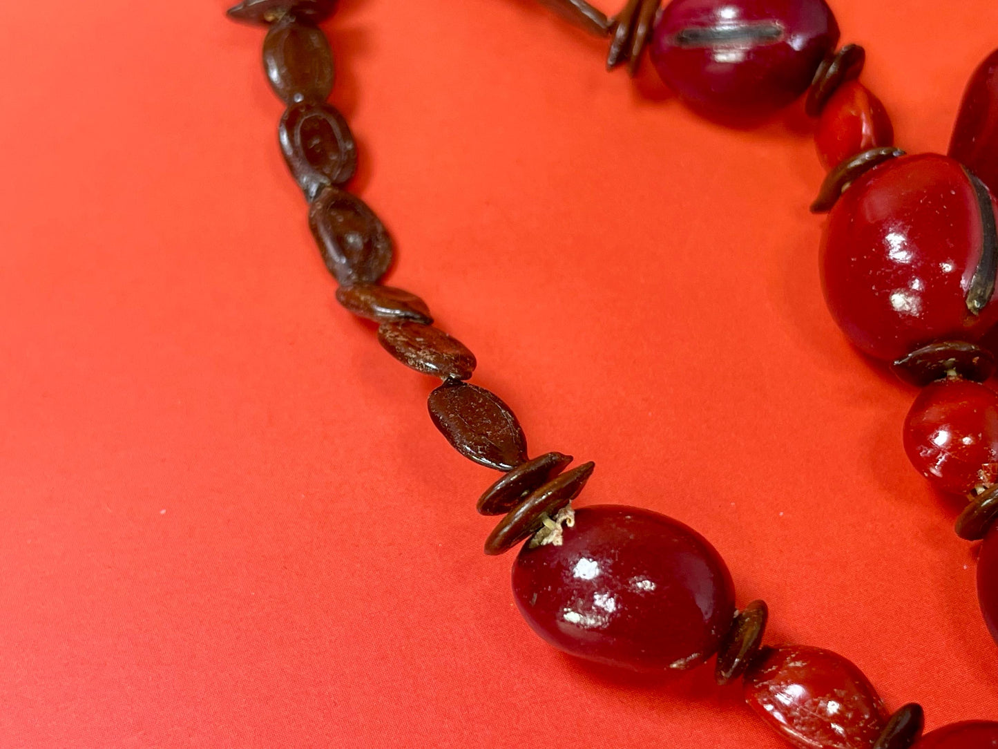 52 inch Long Nut and Seed Necklace